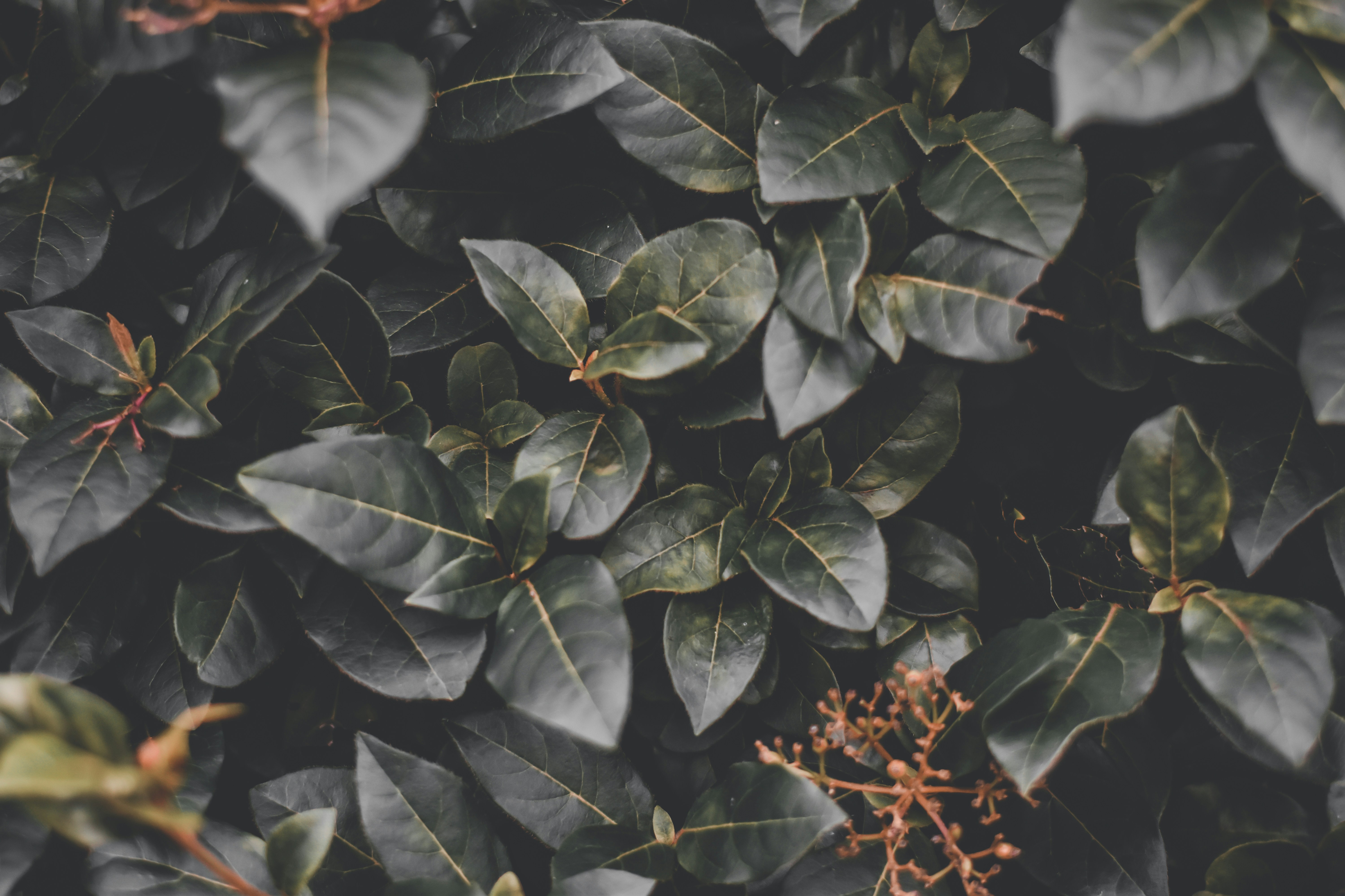 Photo by elliottmason