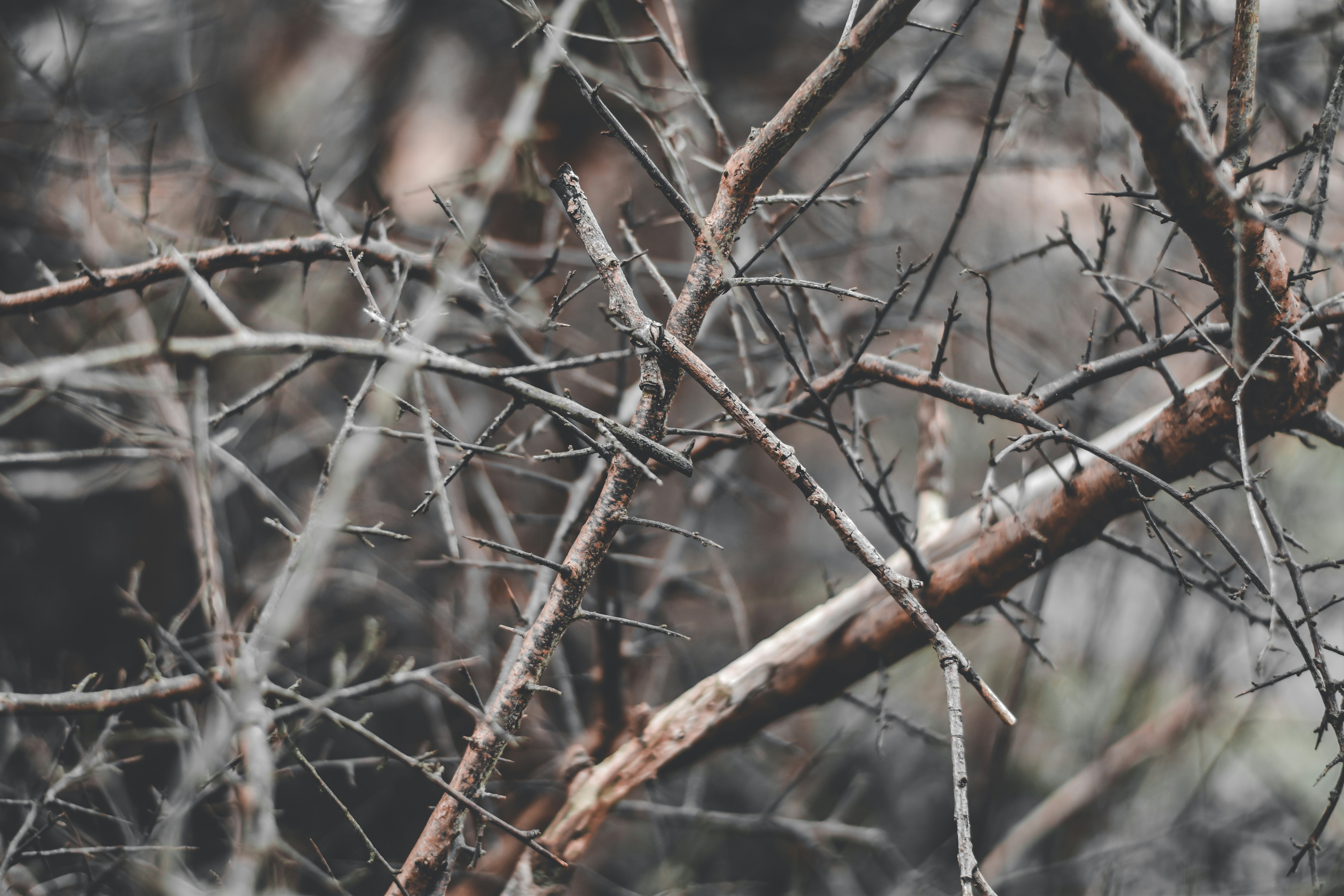 Photo by elliottmason