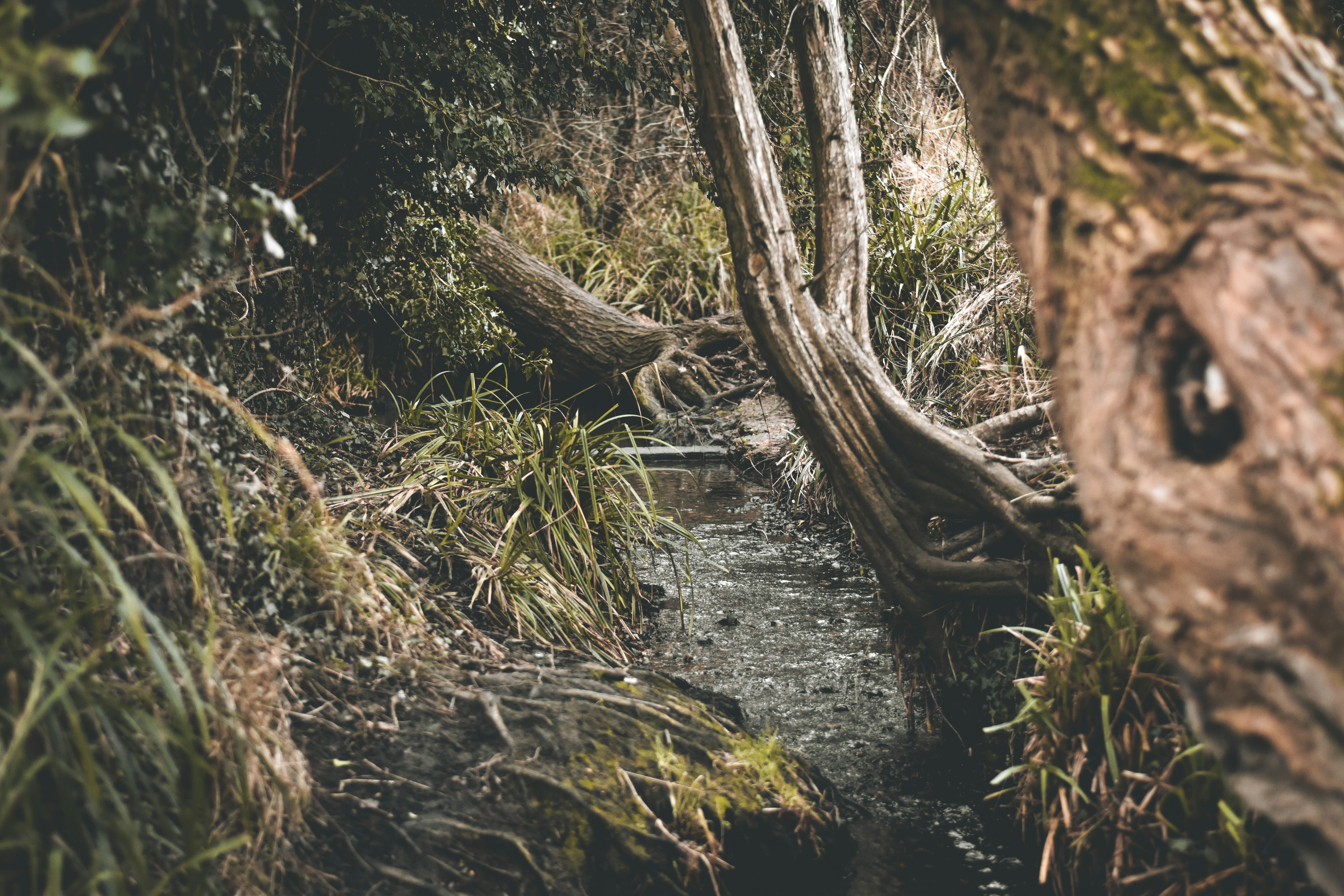 Photo by elliottmason