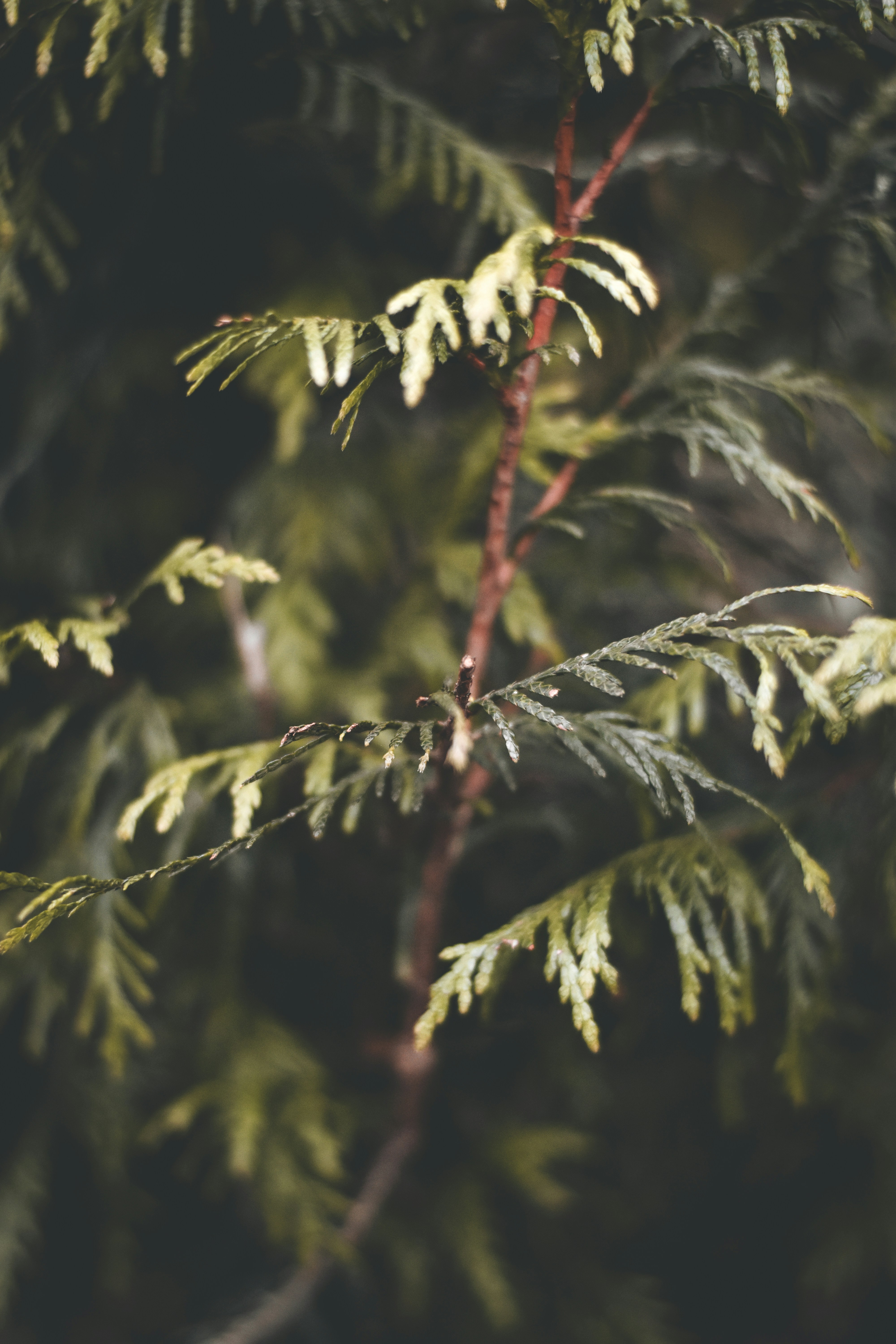 Photo by elliottmason