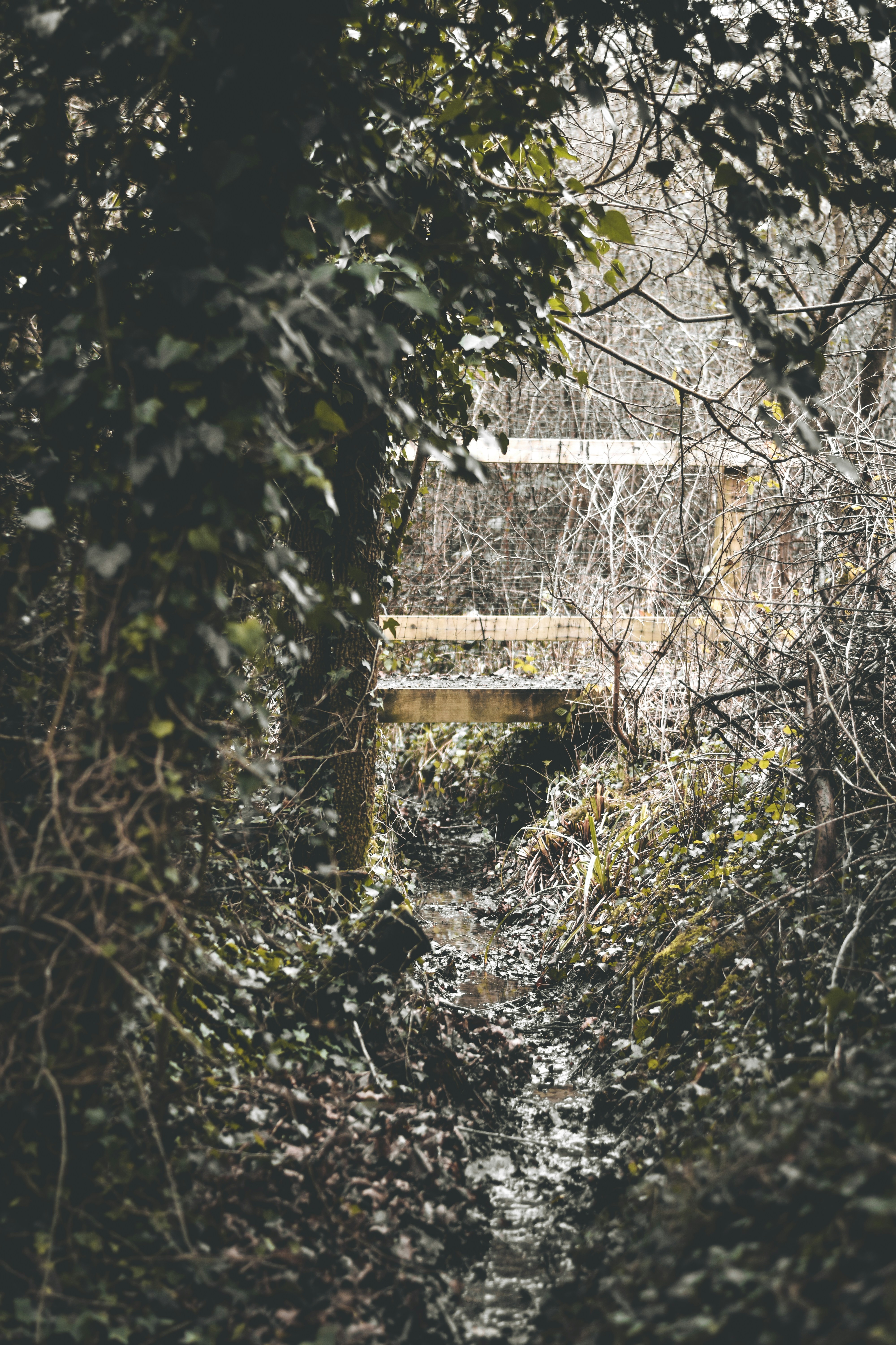 Photo by elliottmason