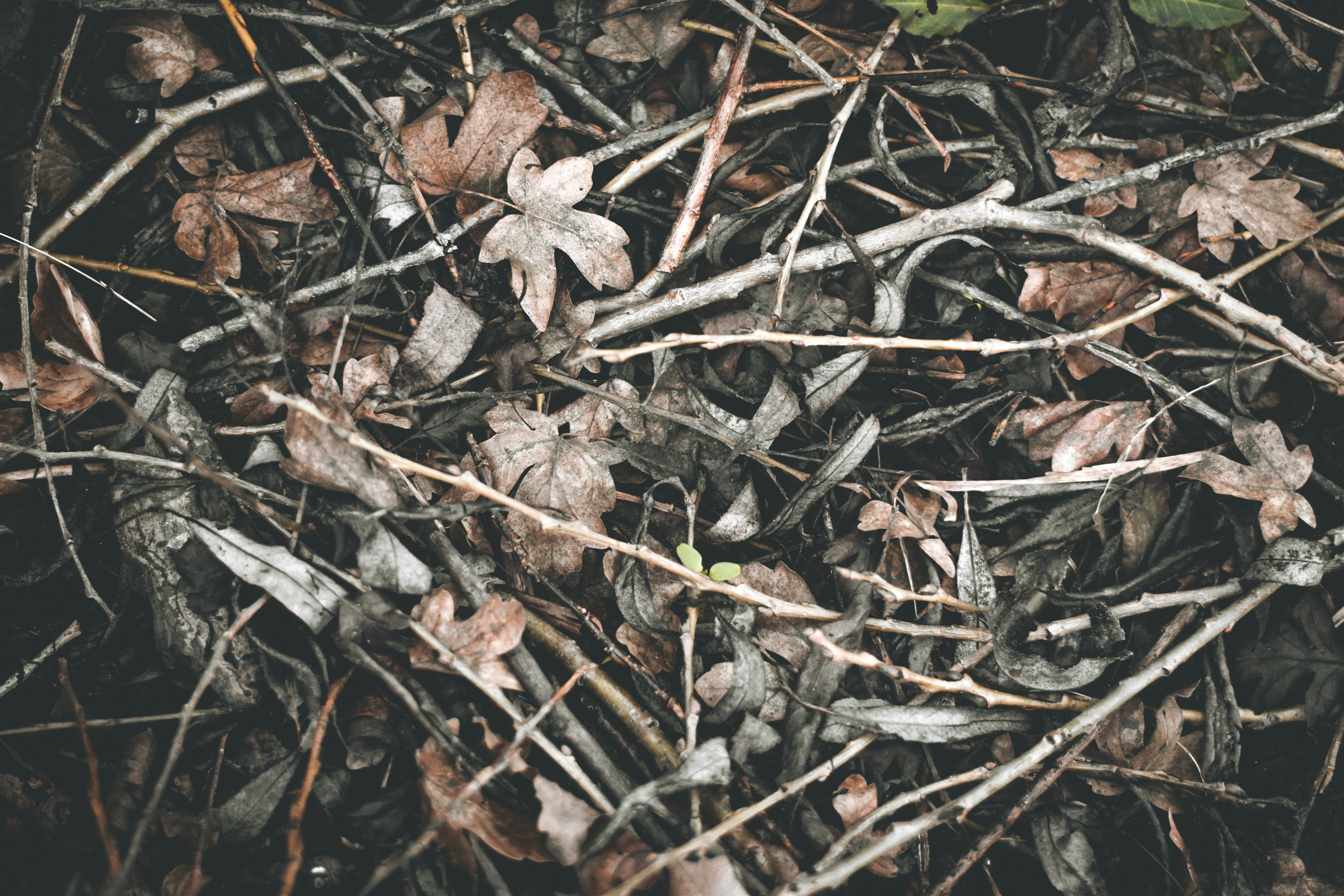 Photo by elliottmason