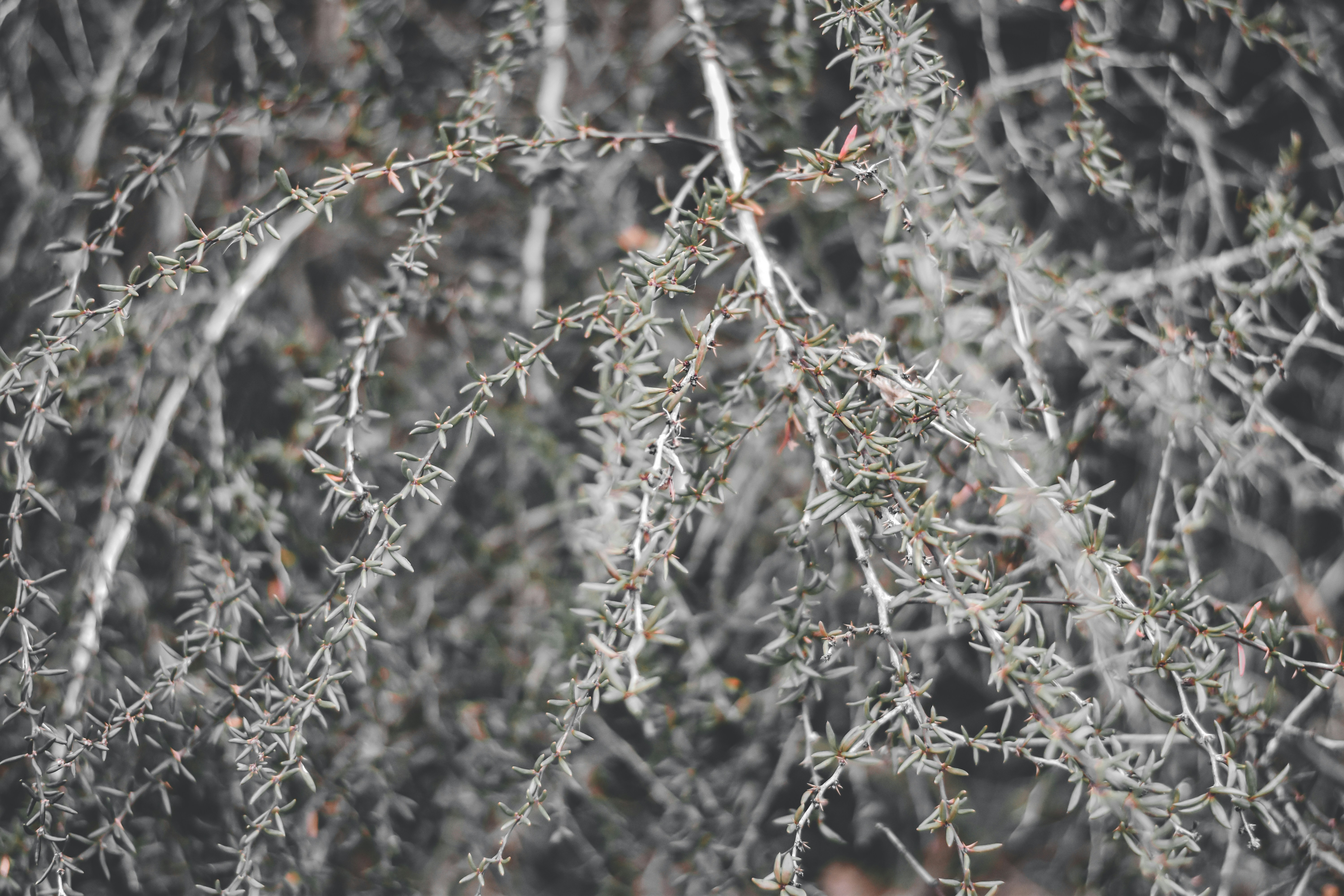 Photo by elliottmason