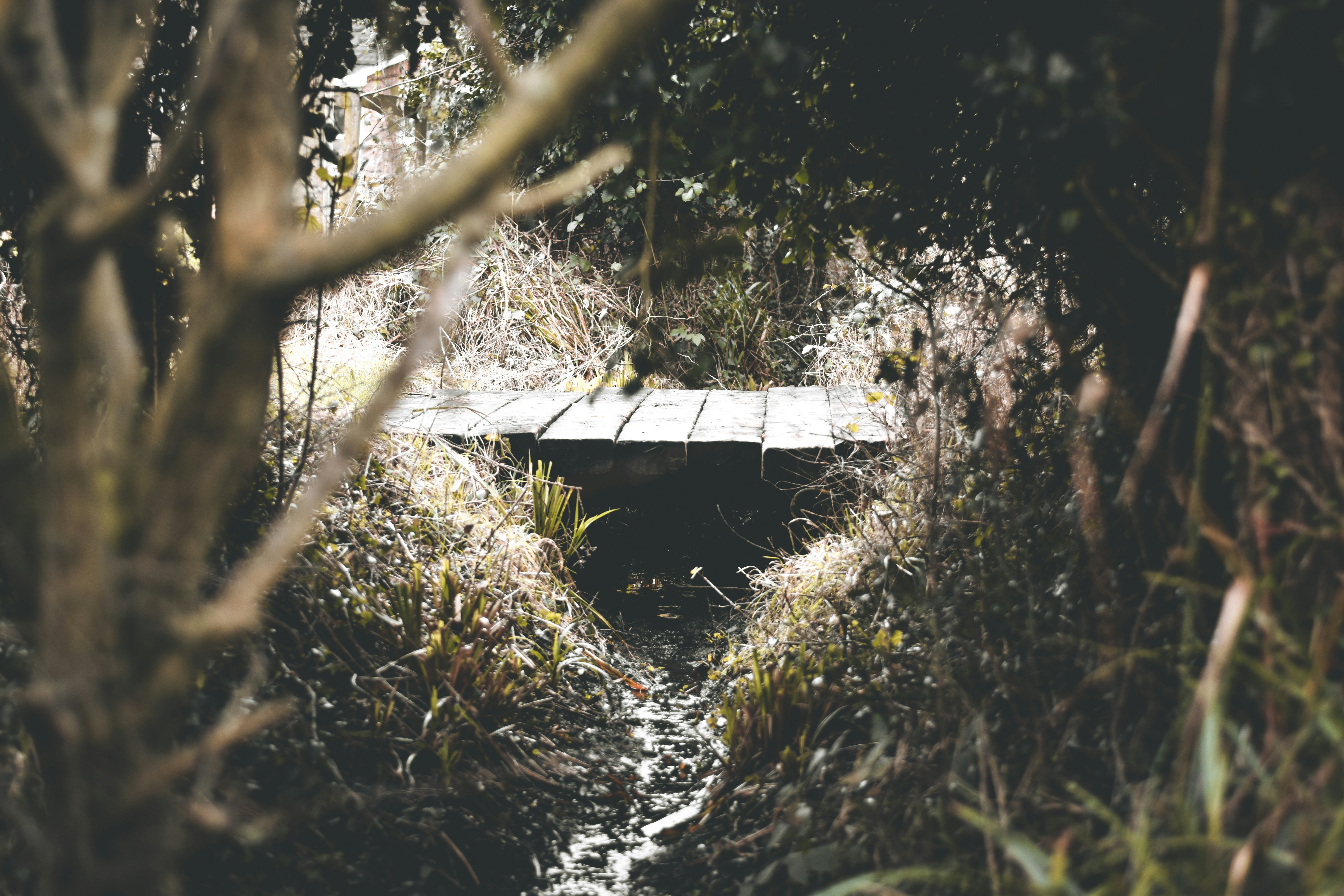 Photo by elliottmason