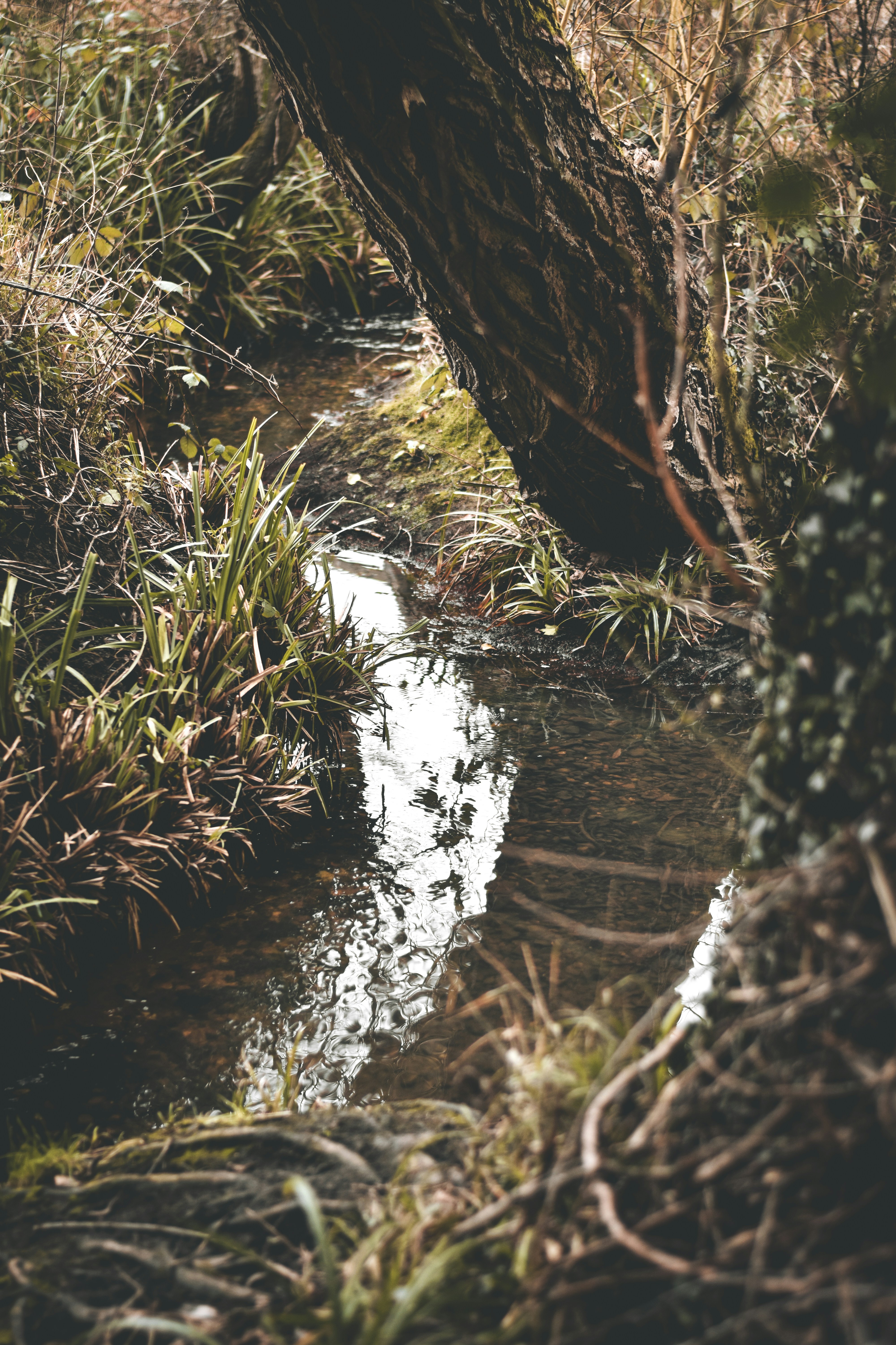 Photo by elliottmason