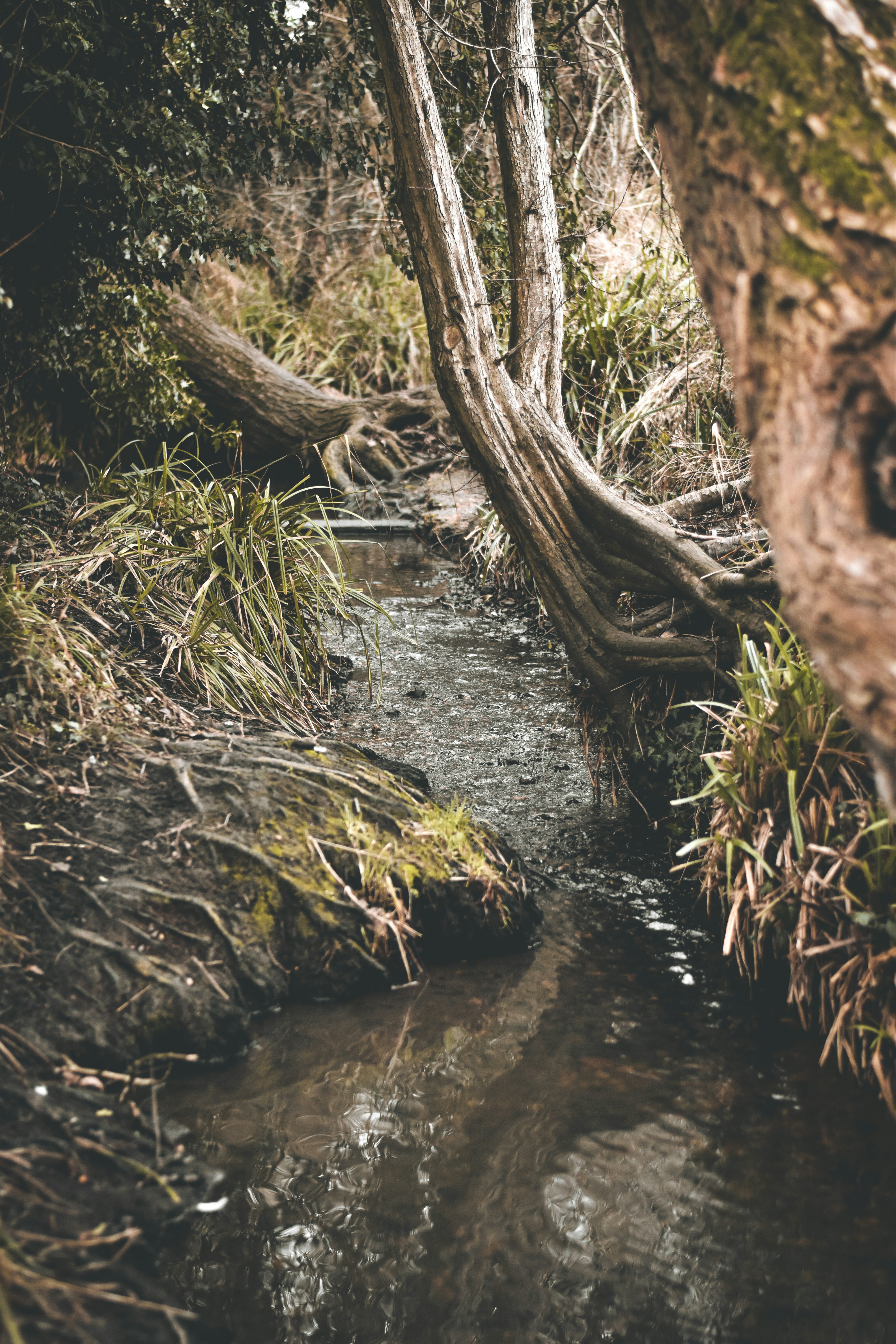 Photo by elliottmason