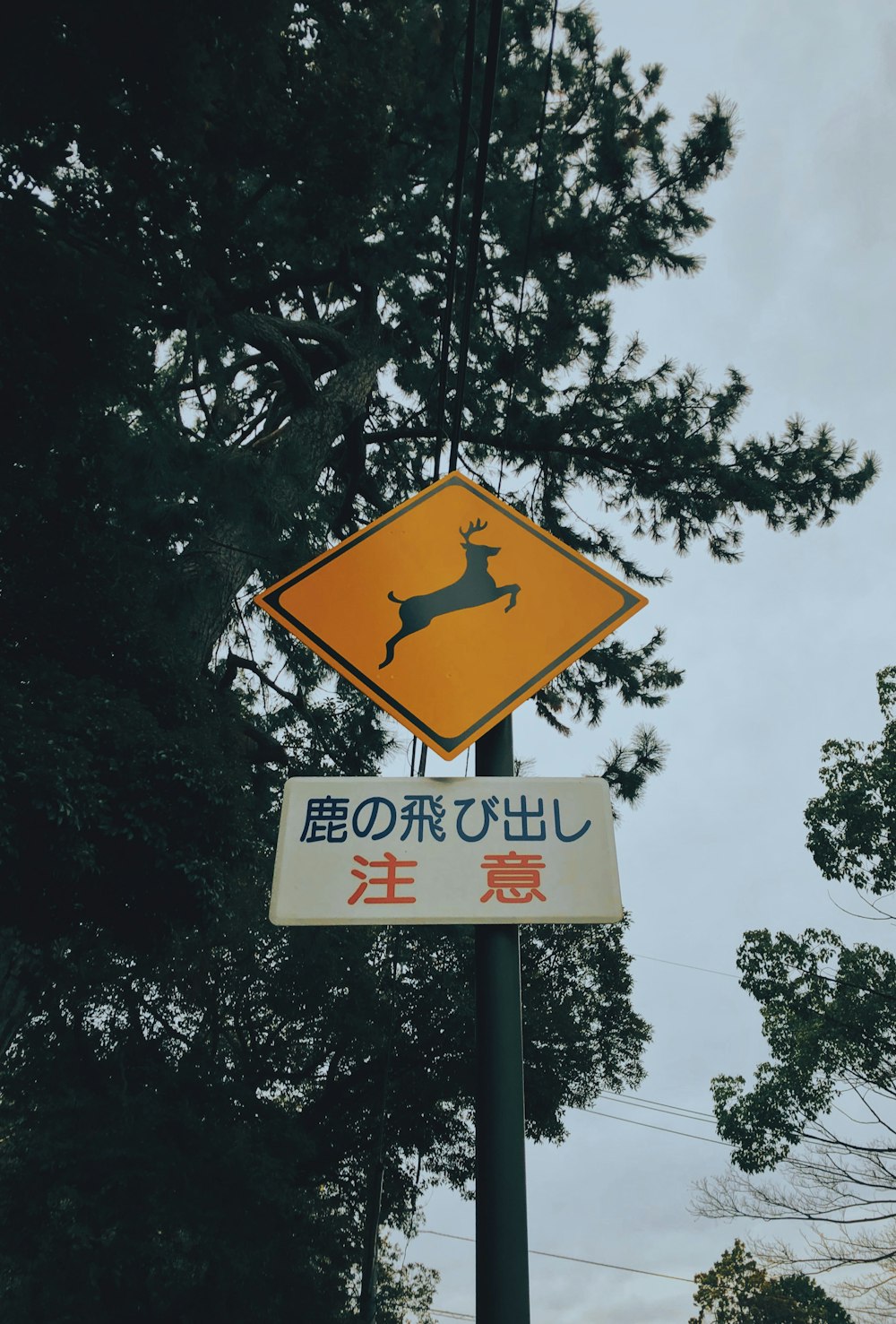 a street sign with a deer on it