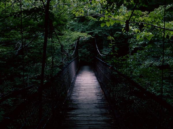 Tochigi Travel: Discover Local Culture & Traditions