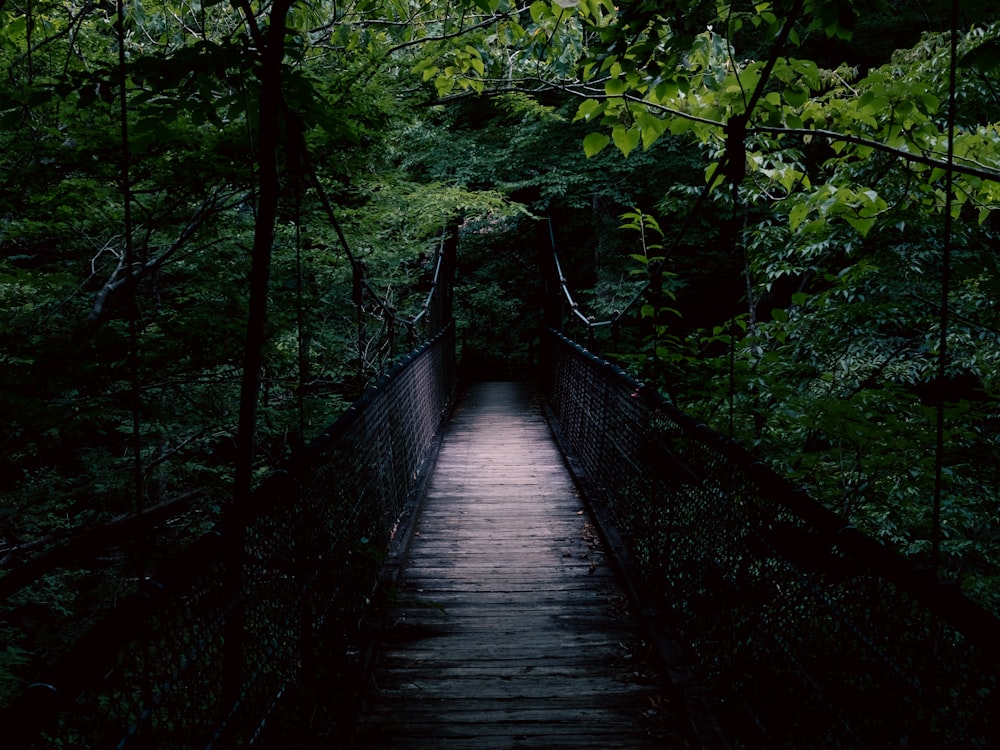 a wooden bridge in the middle of a forest