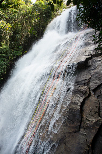 Adventurers rappelling down a sheer cliff face surrounded by lush tropical forest
