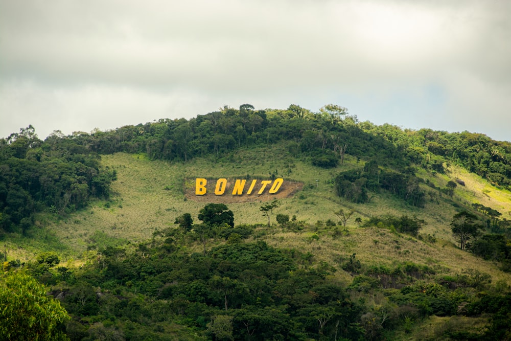 Ein Schild auf einem Hügel mit der Aufschrift Bontz