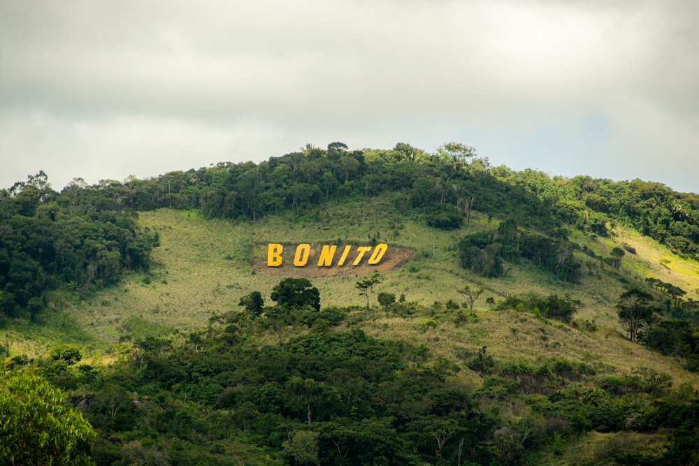 Un panneau sur une colline qui indique Bontz