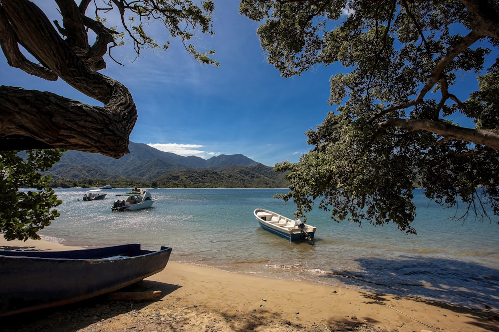 a couple of boats that are sitting in the water