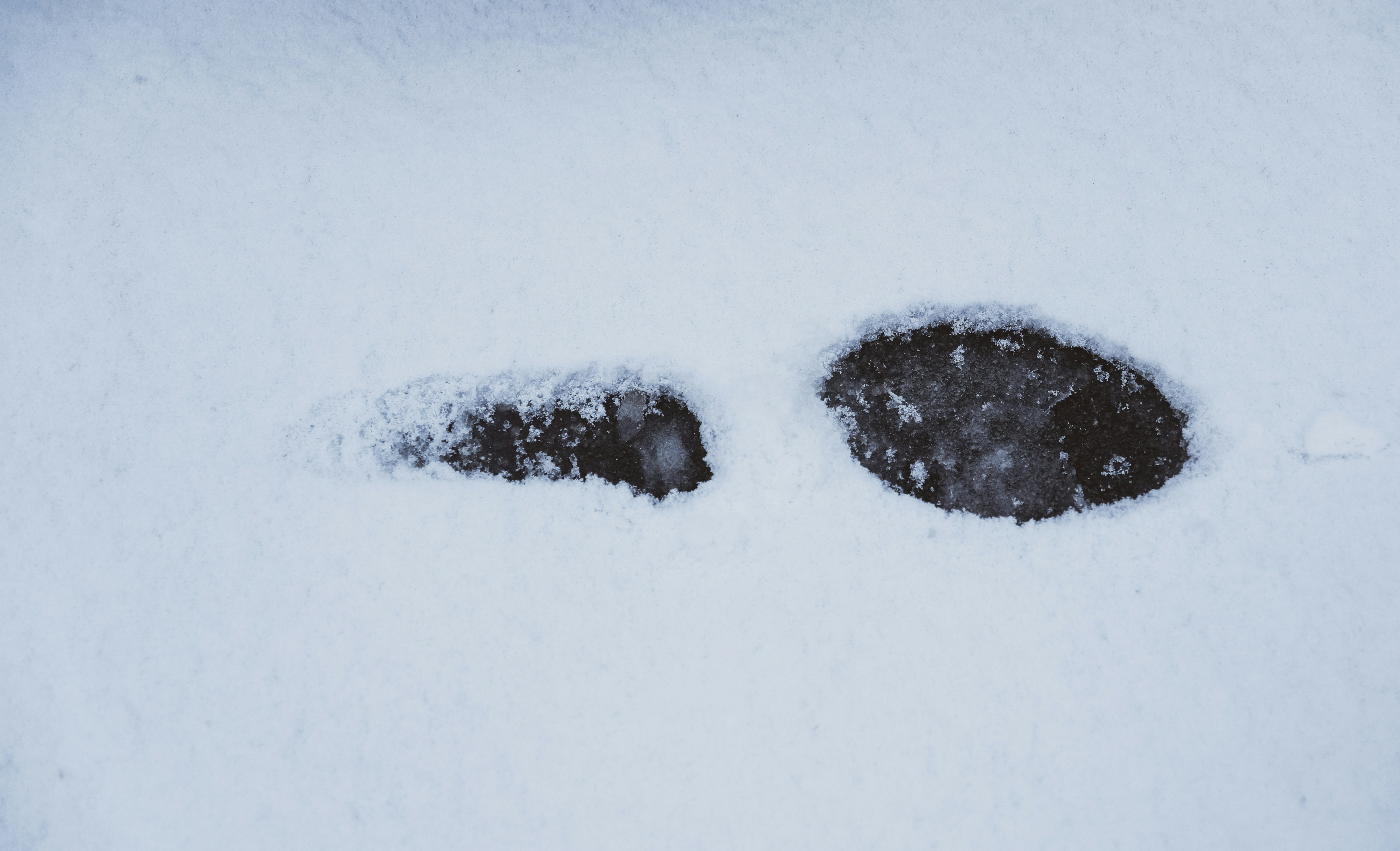 Carbon Footprint, Carbon Footprint study, Carbon Footprint Assessment