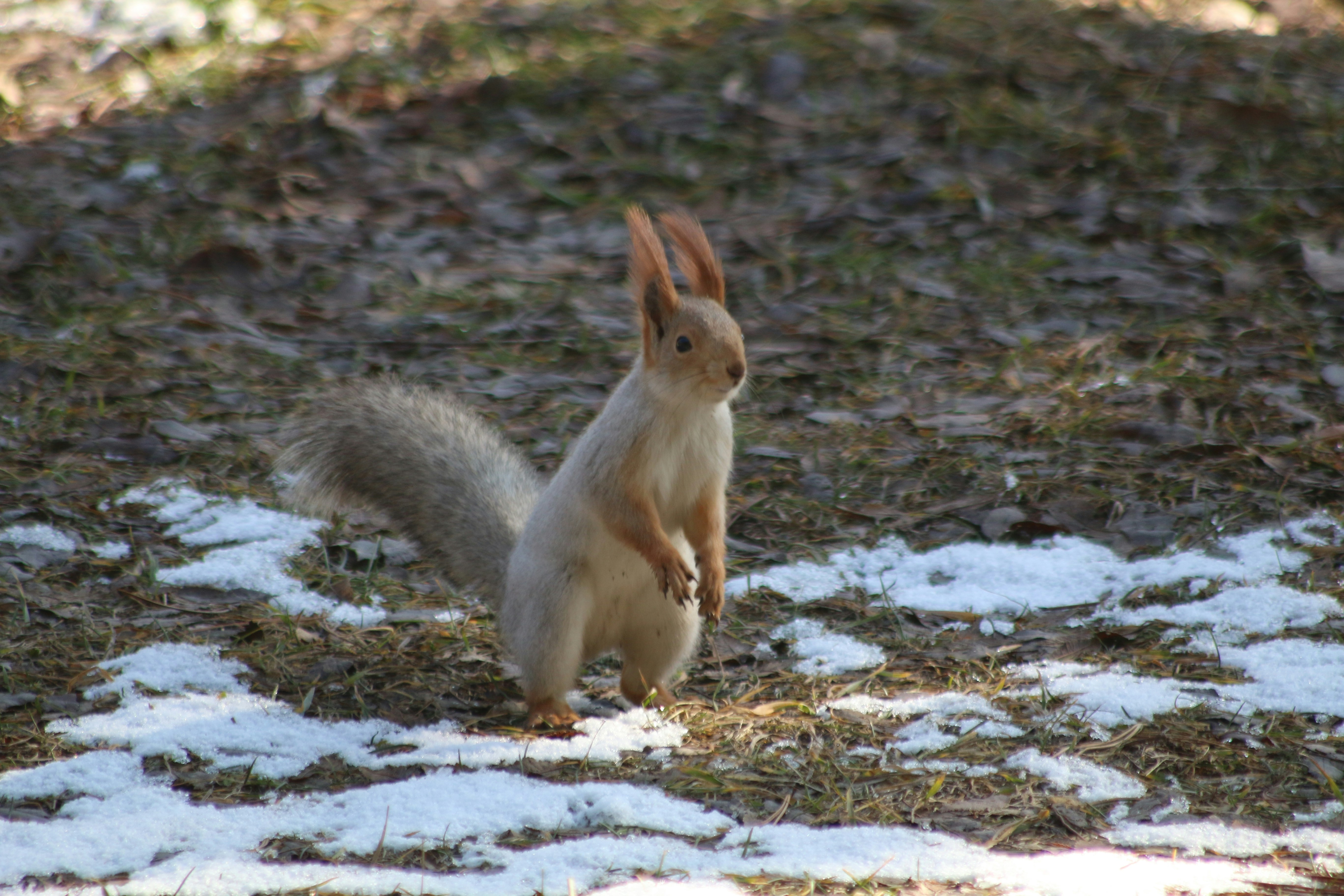 woman wearing yellow long-sleeved dress under white clouds and blue sky during daytime