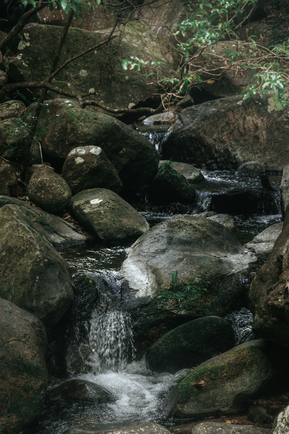 a stream of water running over rocks in a forest