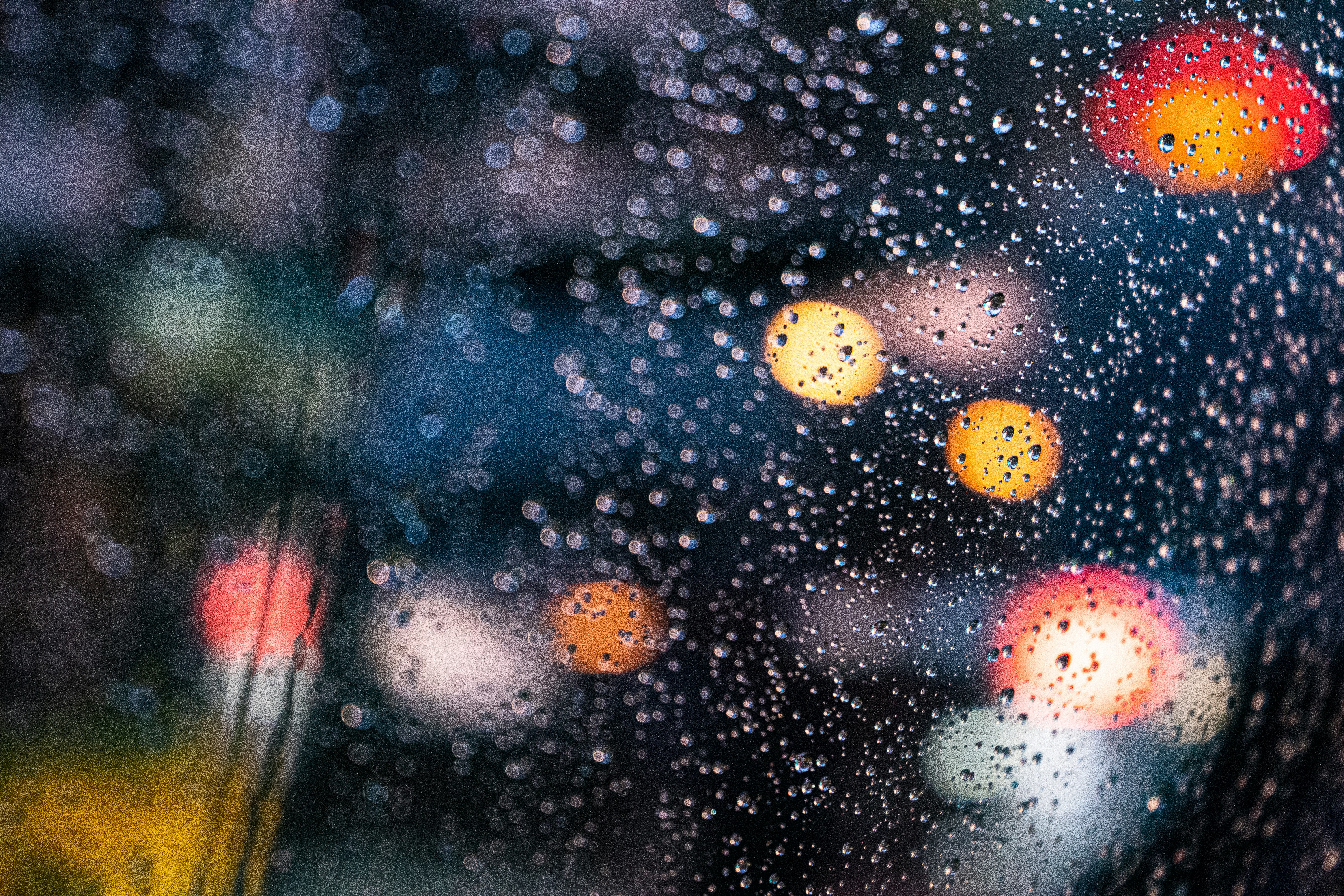 Photo by harrisonchang