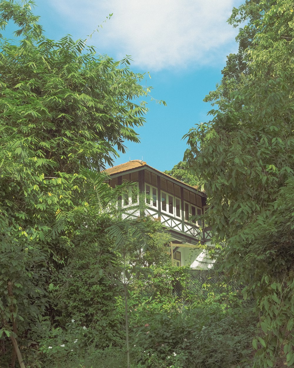 a house in the middle of a forest surrounded by trees