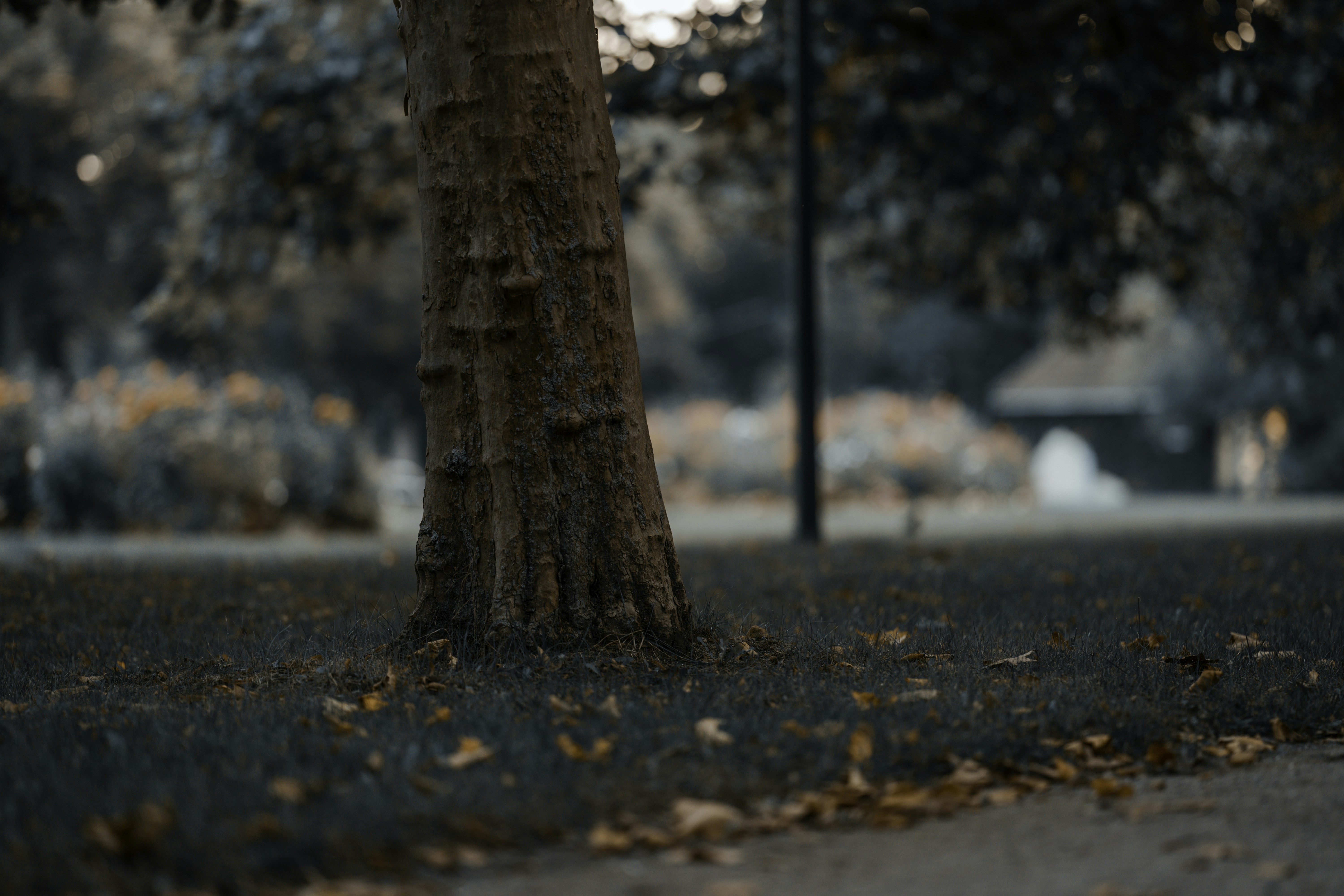 Photo by omarvellous14