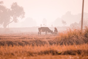 Bihar’s Anti-Corruption Initiative Gains Momentum?