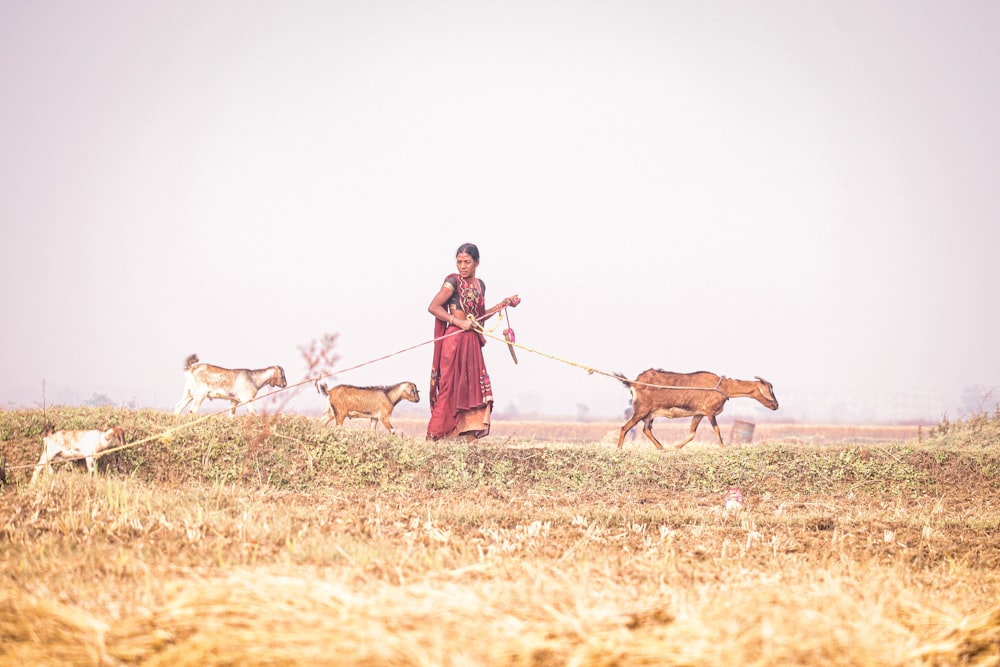 a woman in a red dress is walking her dogs