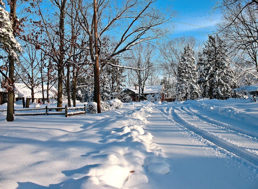 a snow covered road with trees and houses in the background