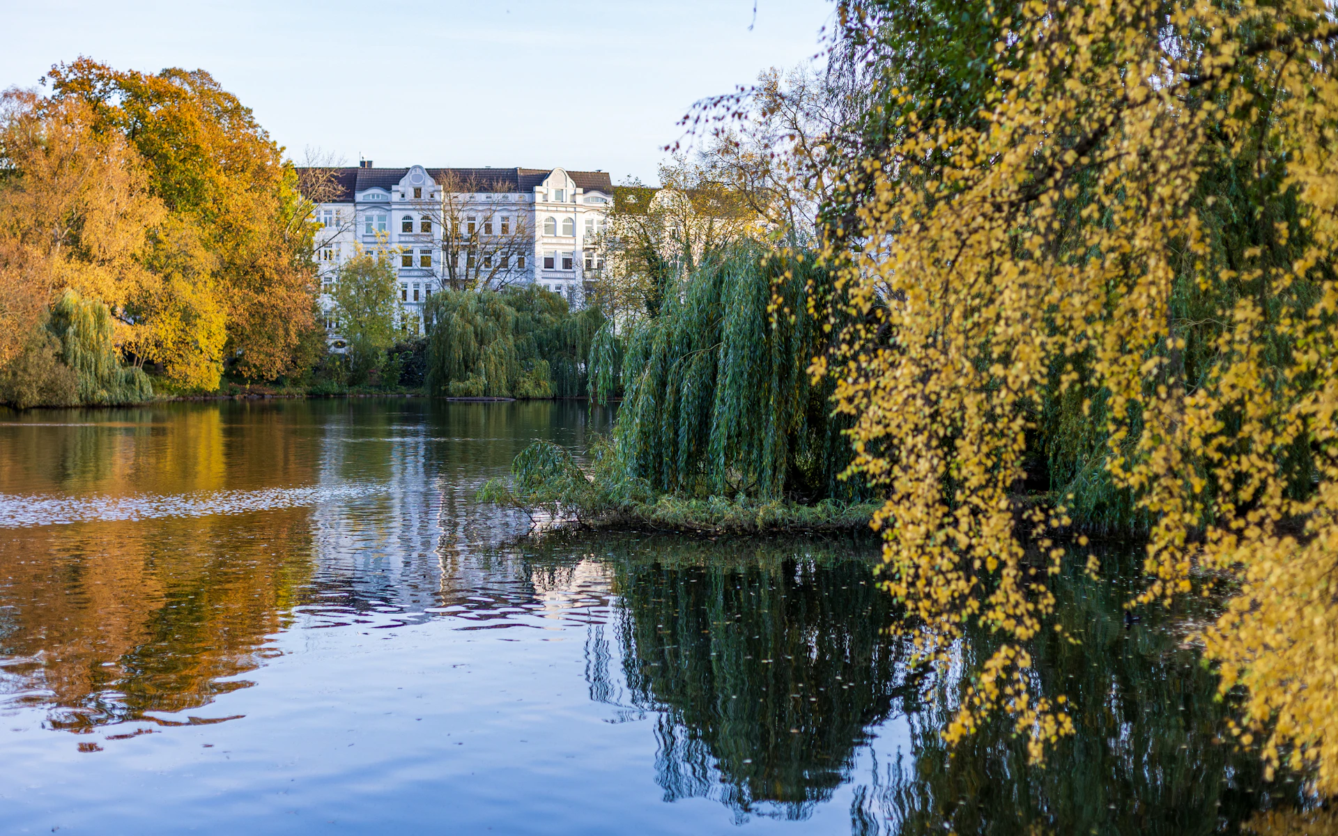 a body of water surrounded by trees and buildings