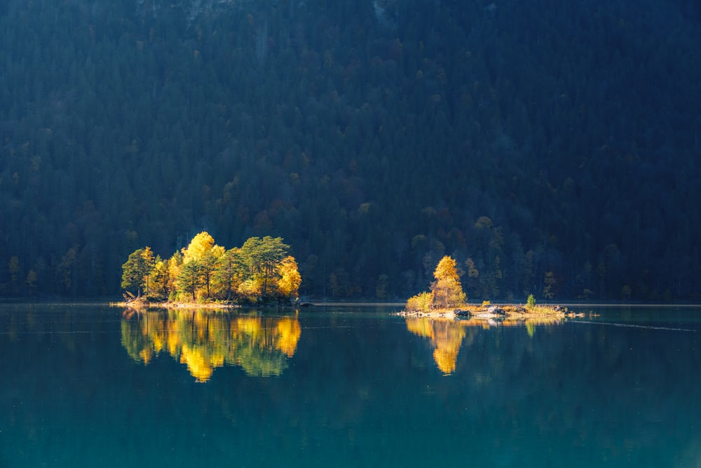 Uno specchio d'acqua con alberi sullo sfondo