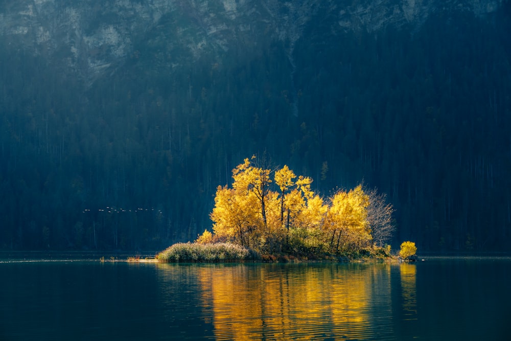 a small island in the middle of a lake