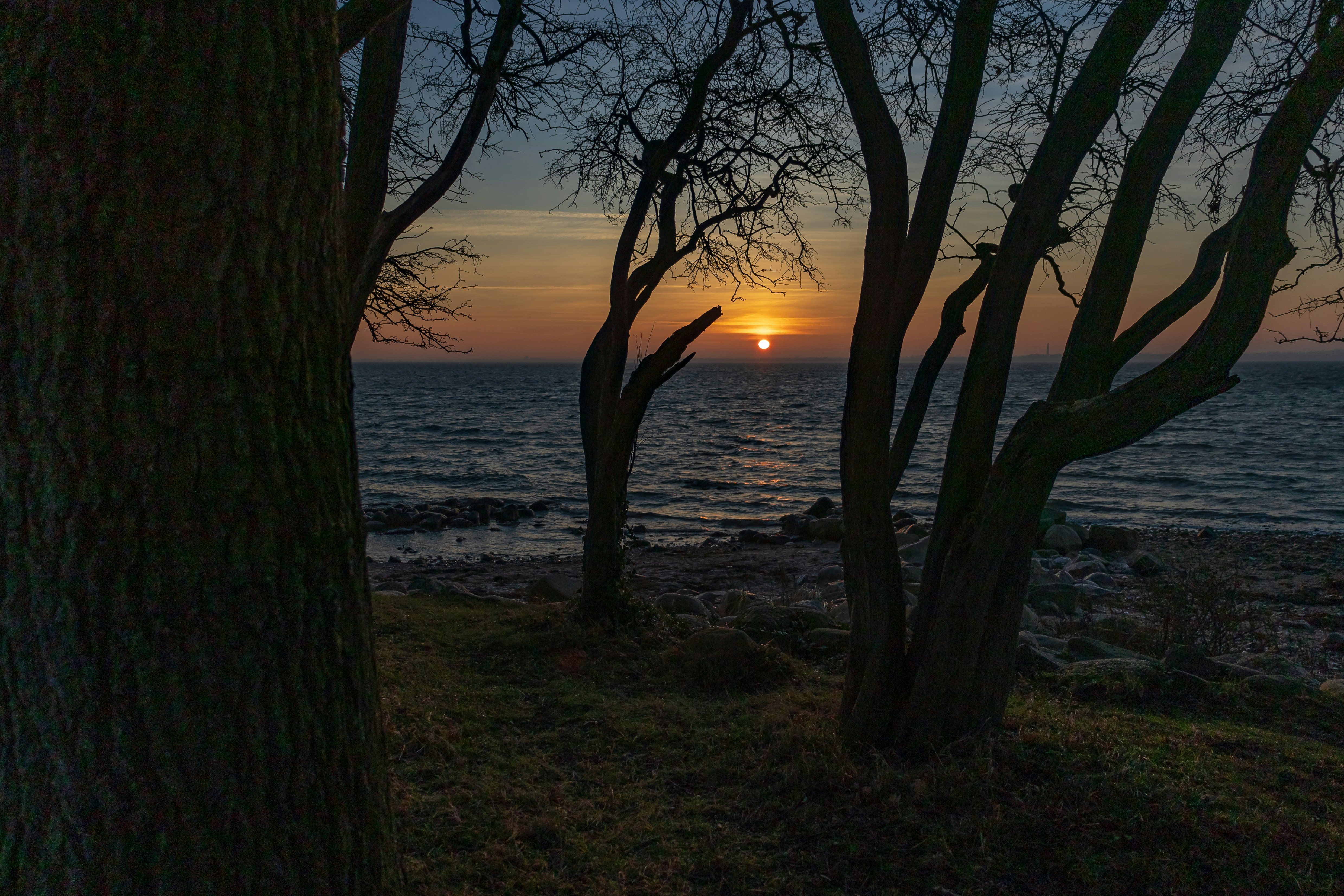 the sun is setting behind some trees by the water