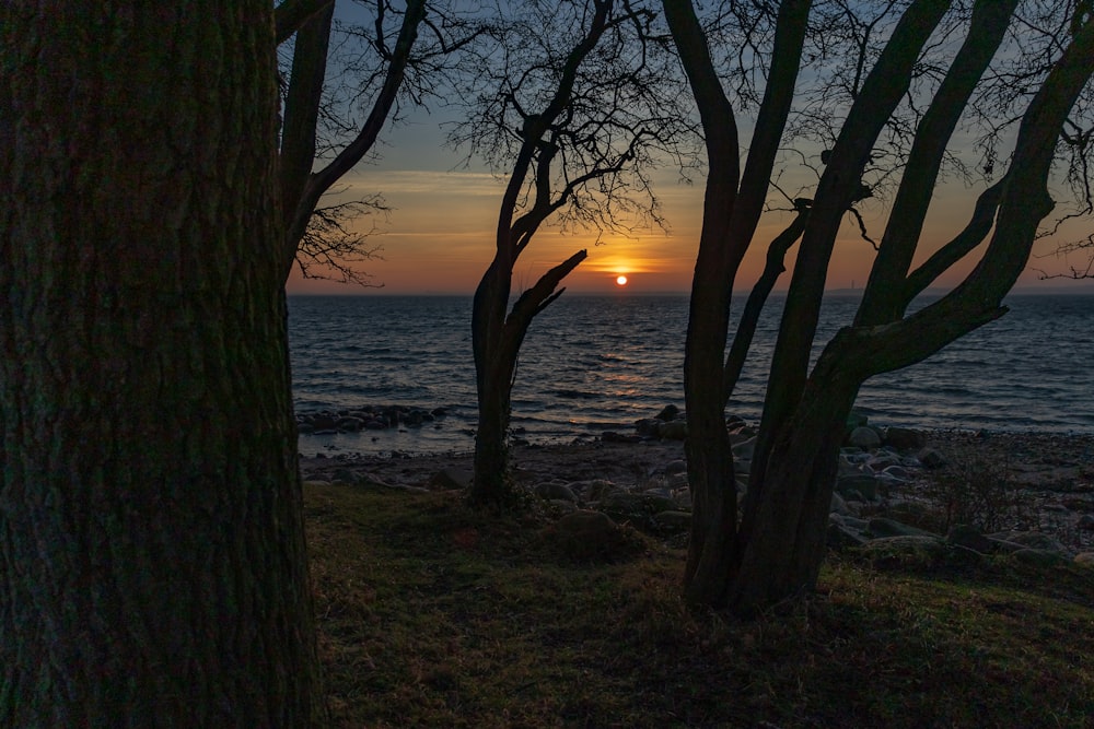 the sun is setting behind some trees by the water