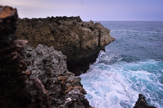 a bird perched on the edge of a cliff next to the ocean