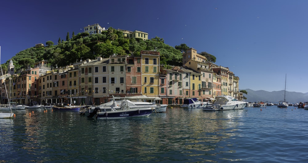 a group of boats floating on top of a body of water