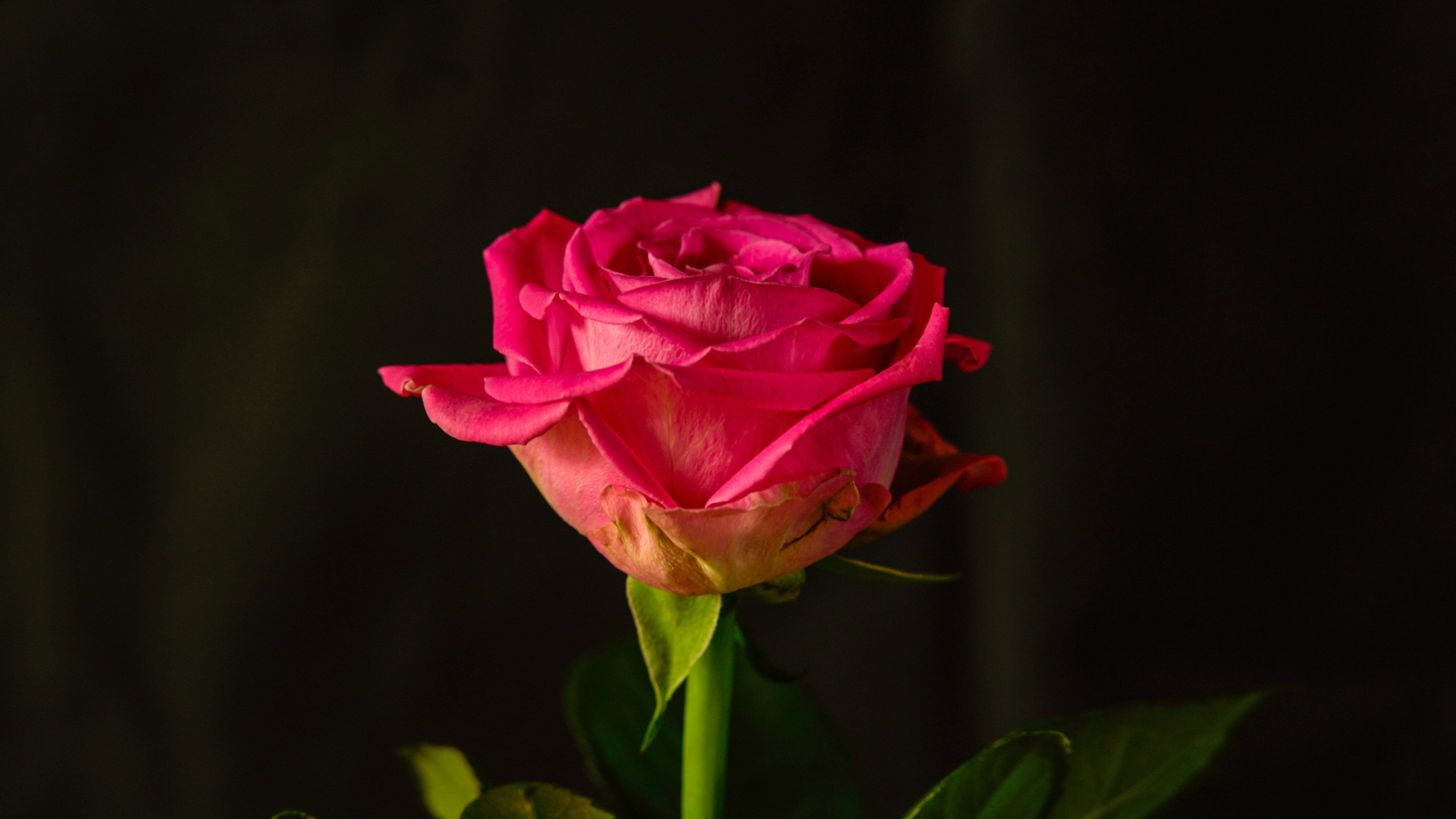 Photo by cashmereundsatin