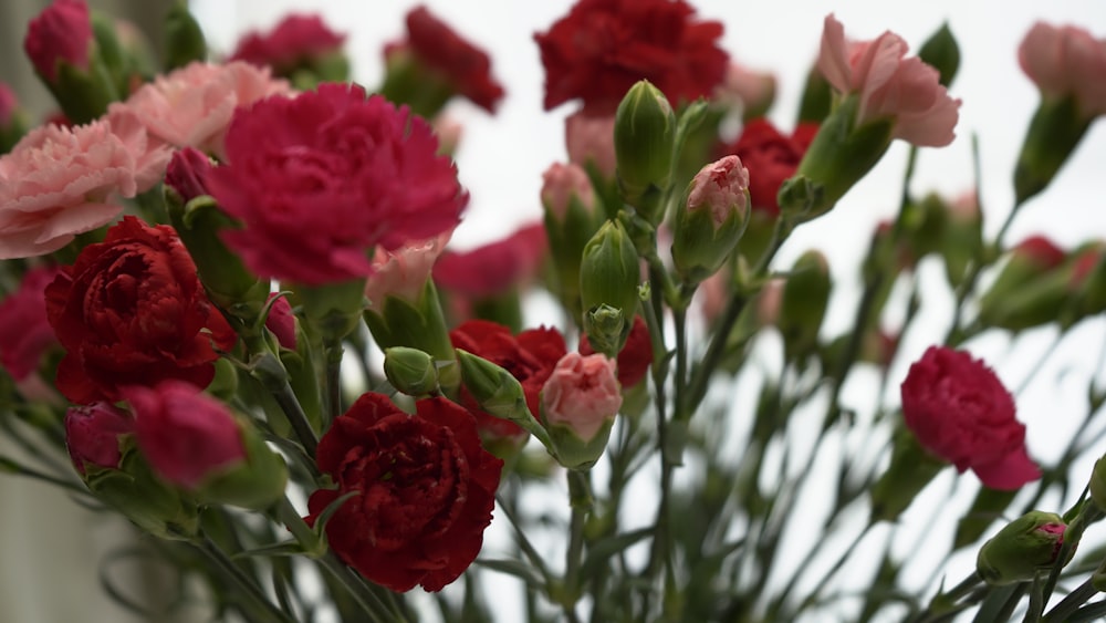 a vase filled with lots of pink and red flowers