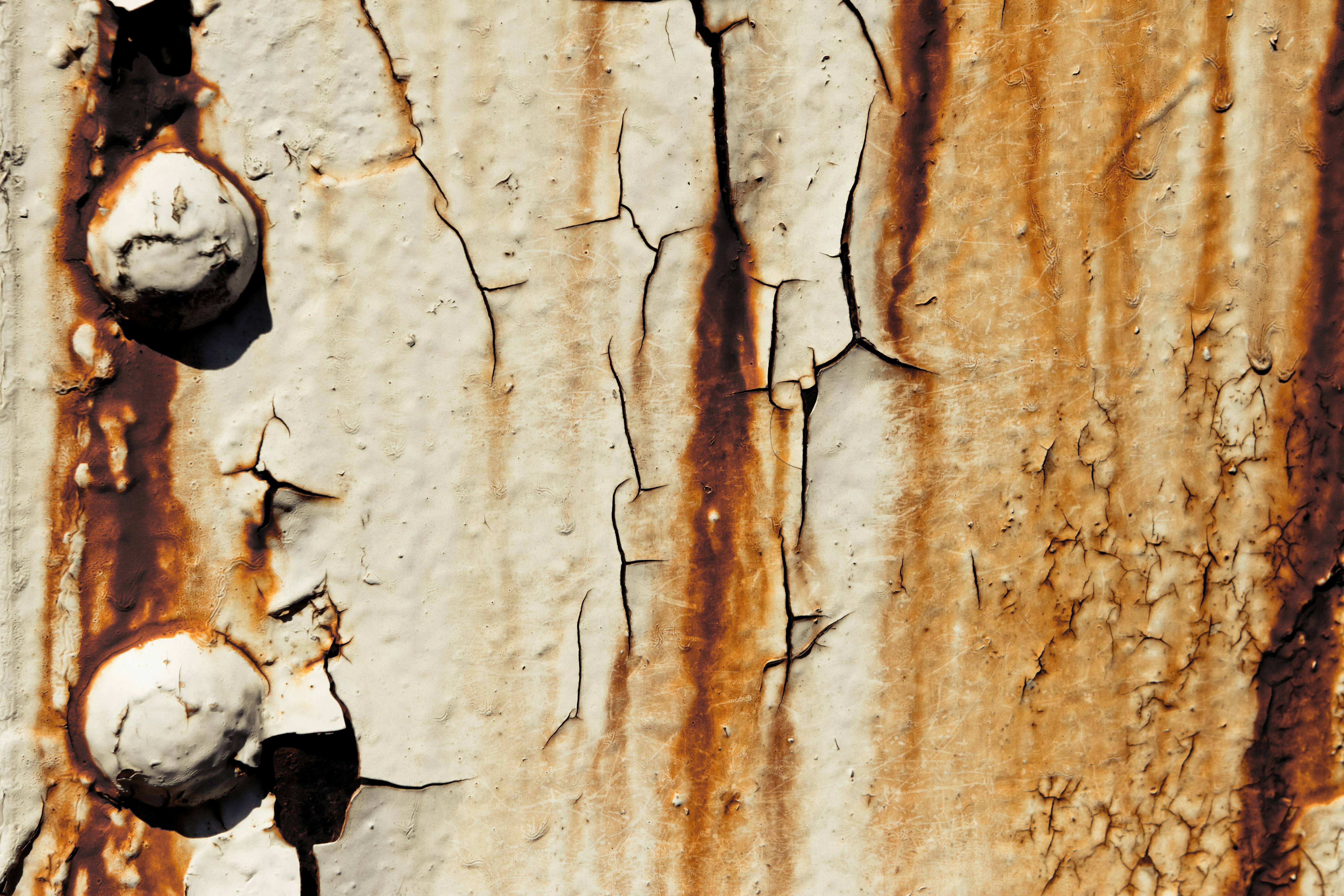 Photo by joetography