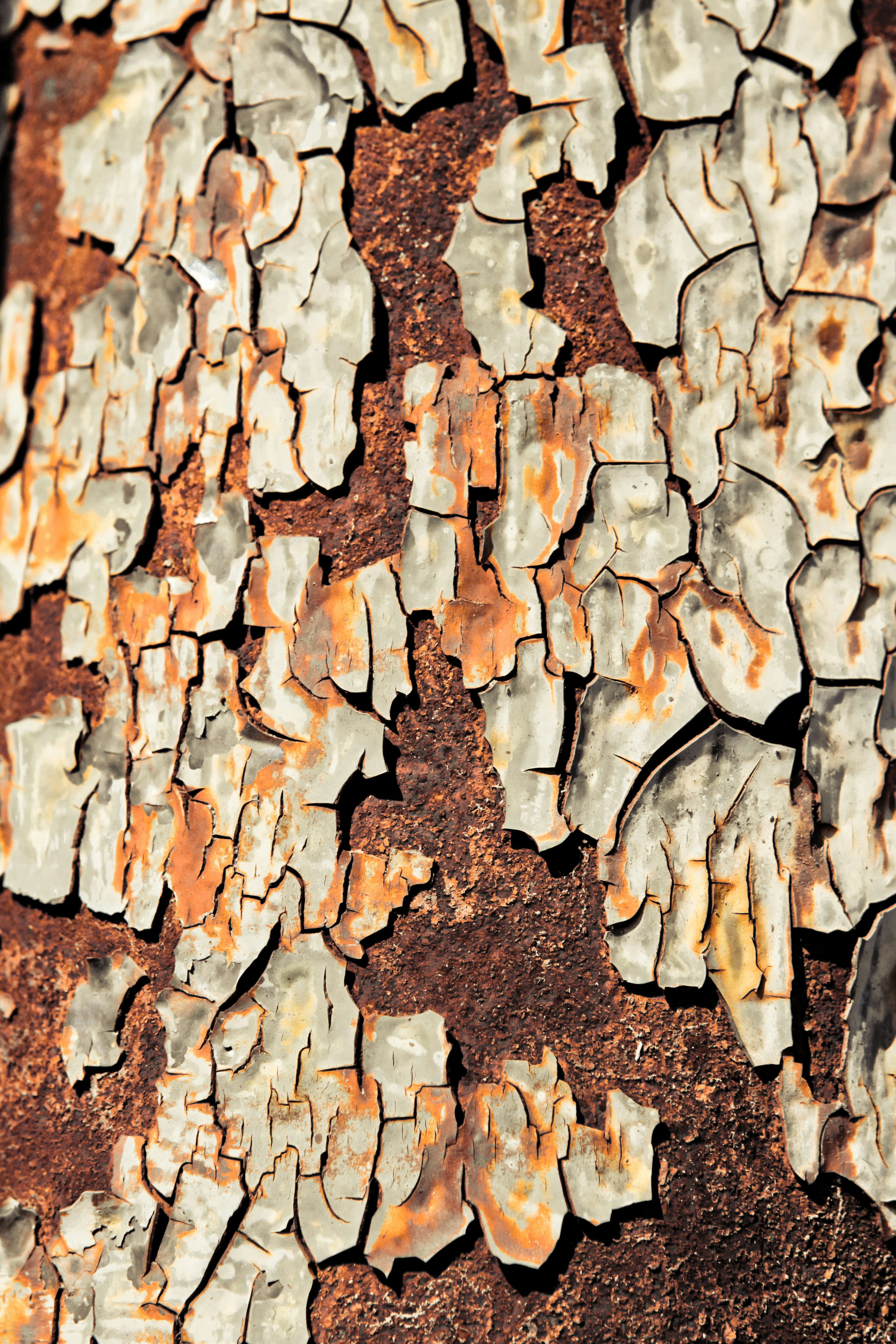 a close up of a tree trunk with peeling paint