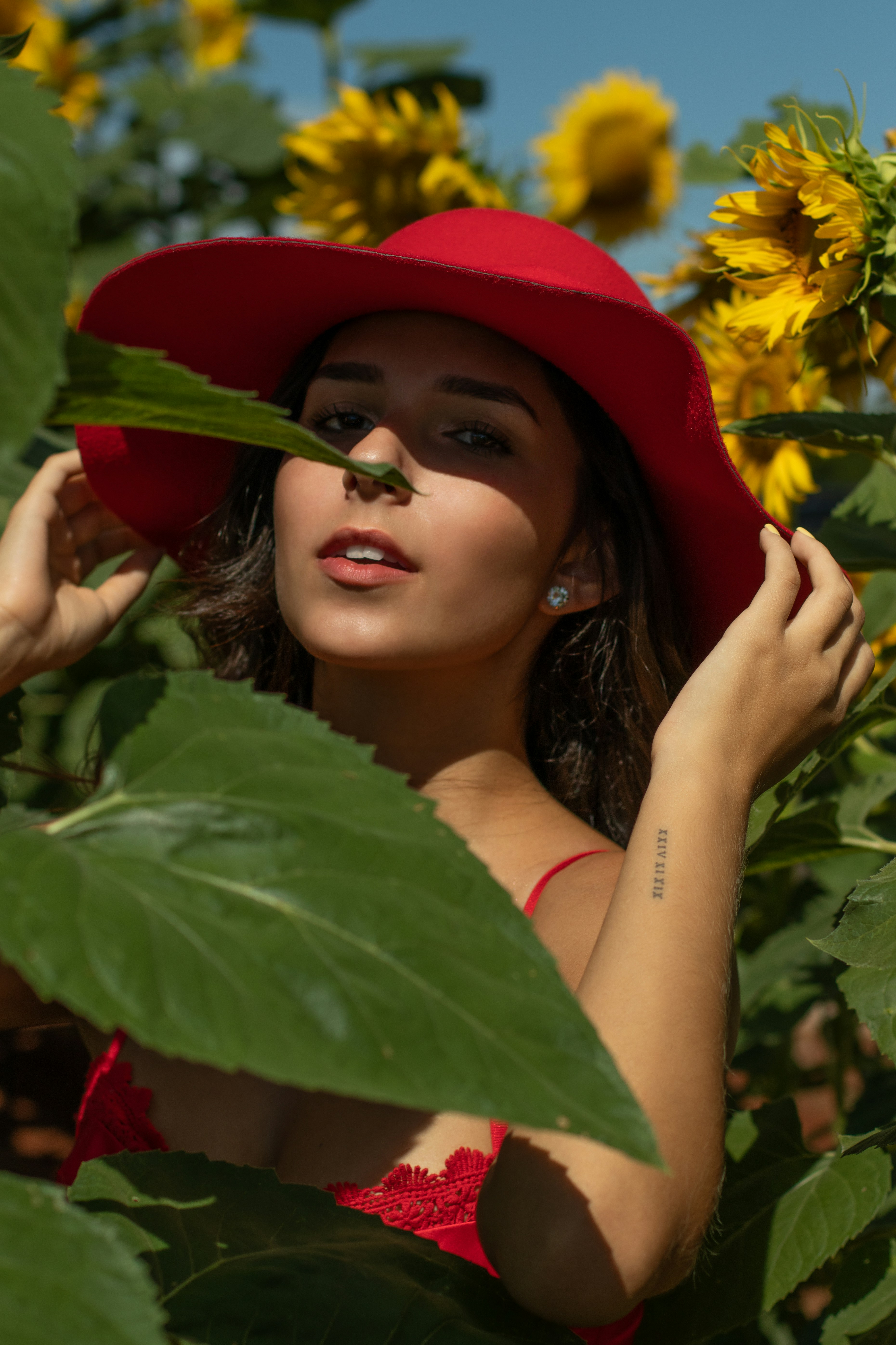 Photo by romulotrento