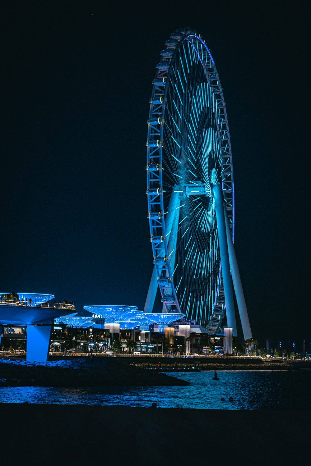 a large ferris wheel lit up at night