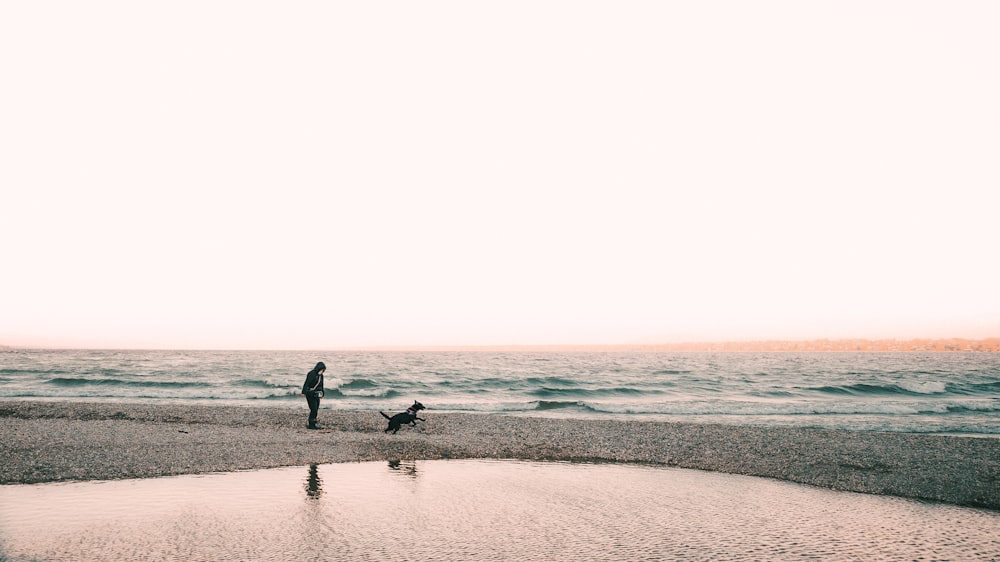 two people walking on a beach with a dog