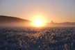 a frosty field with the sun setting in the distance