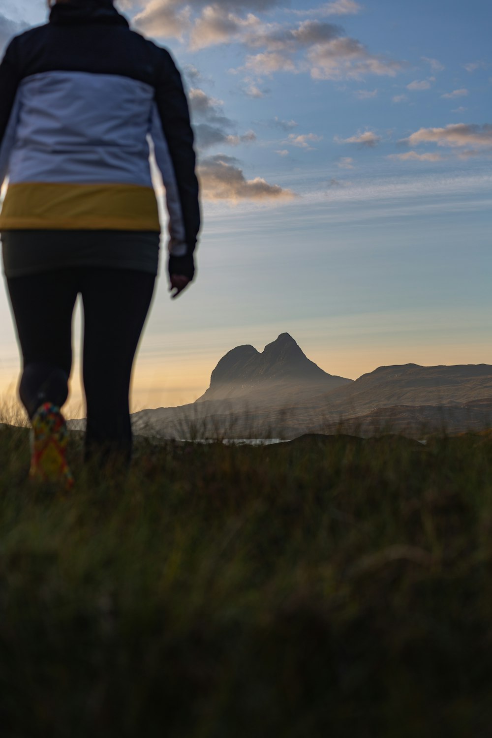 a person standing in a field with mountains in the background