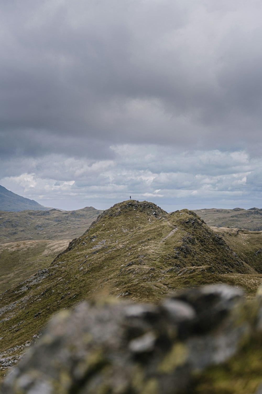 a sheep standing on top of a grass covered hill