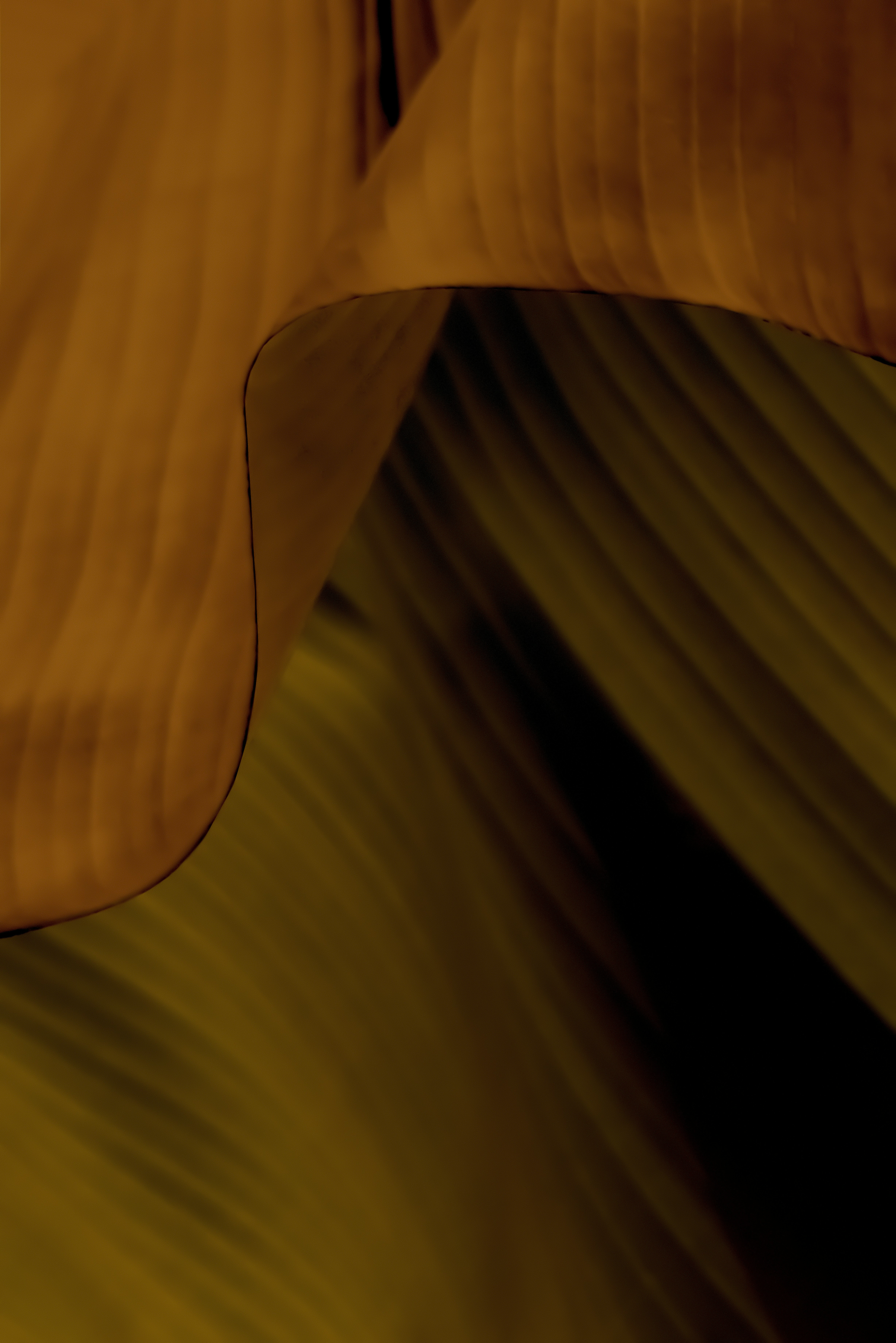 Banana leaf close up with soft background