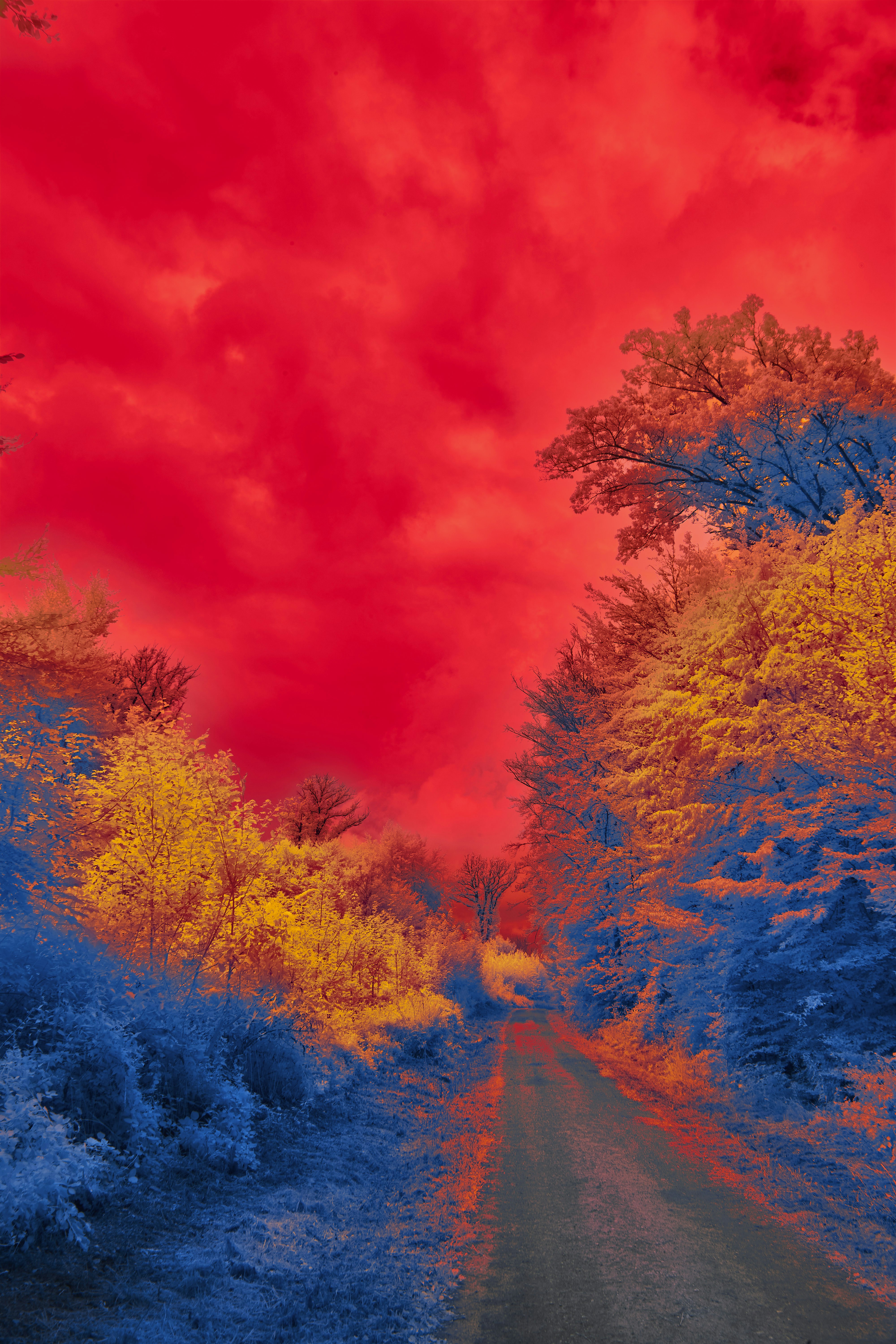 Photo by wolfgang_hasselmann