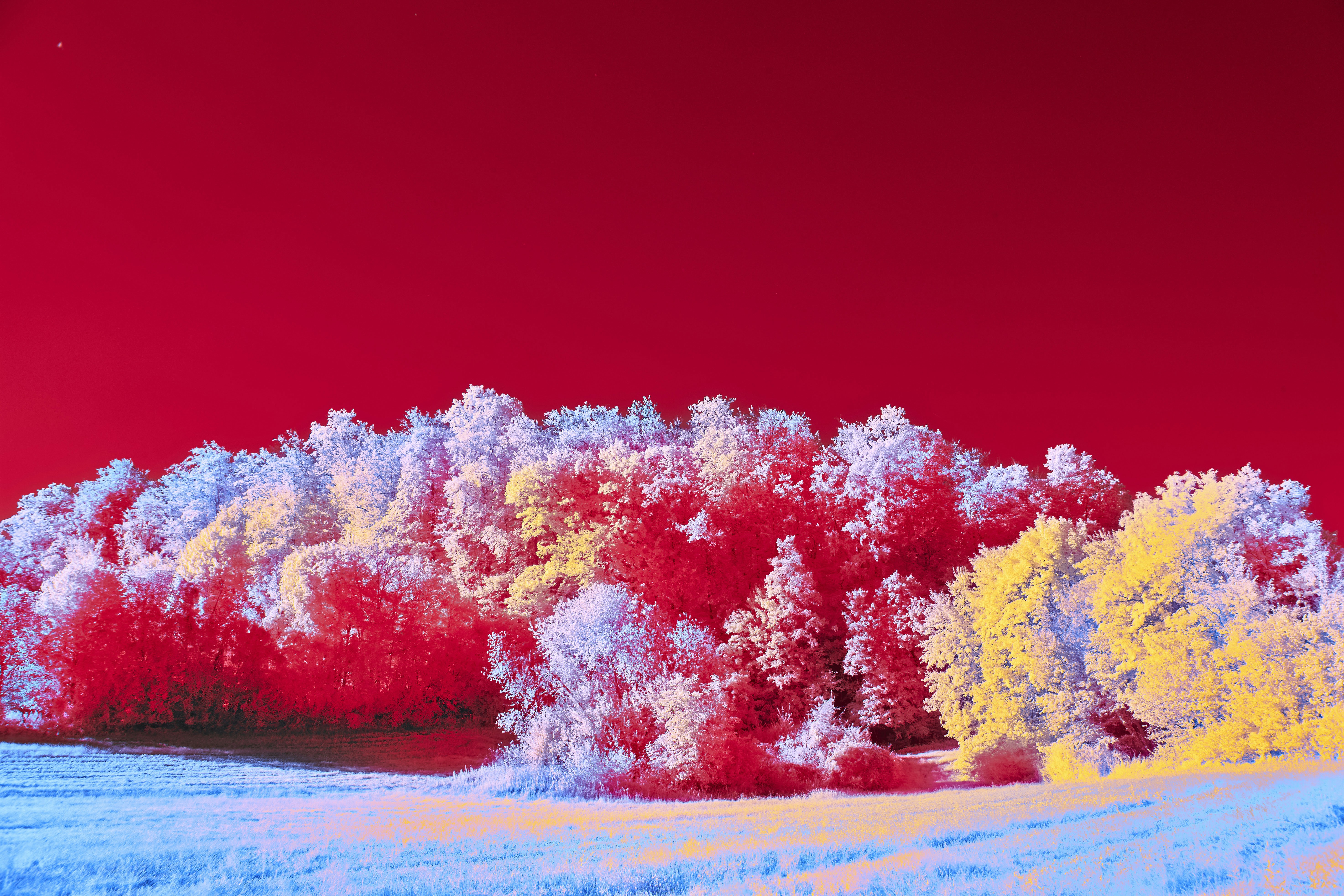 Photo by wolfgang_hasselmann