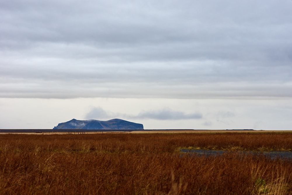 a large field with a mountain in the distance