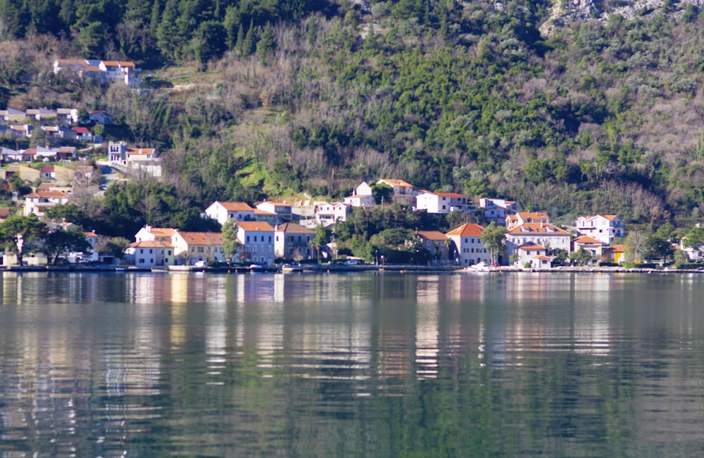 a small village on the shore of a lake