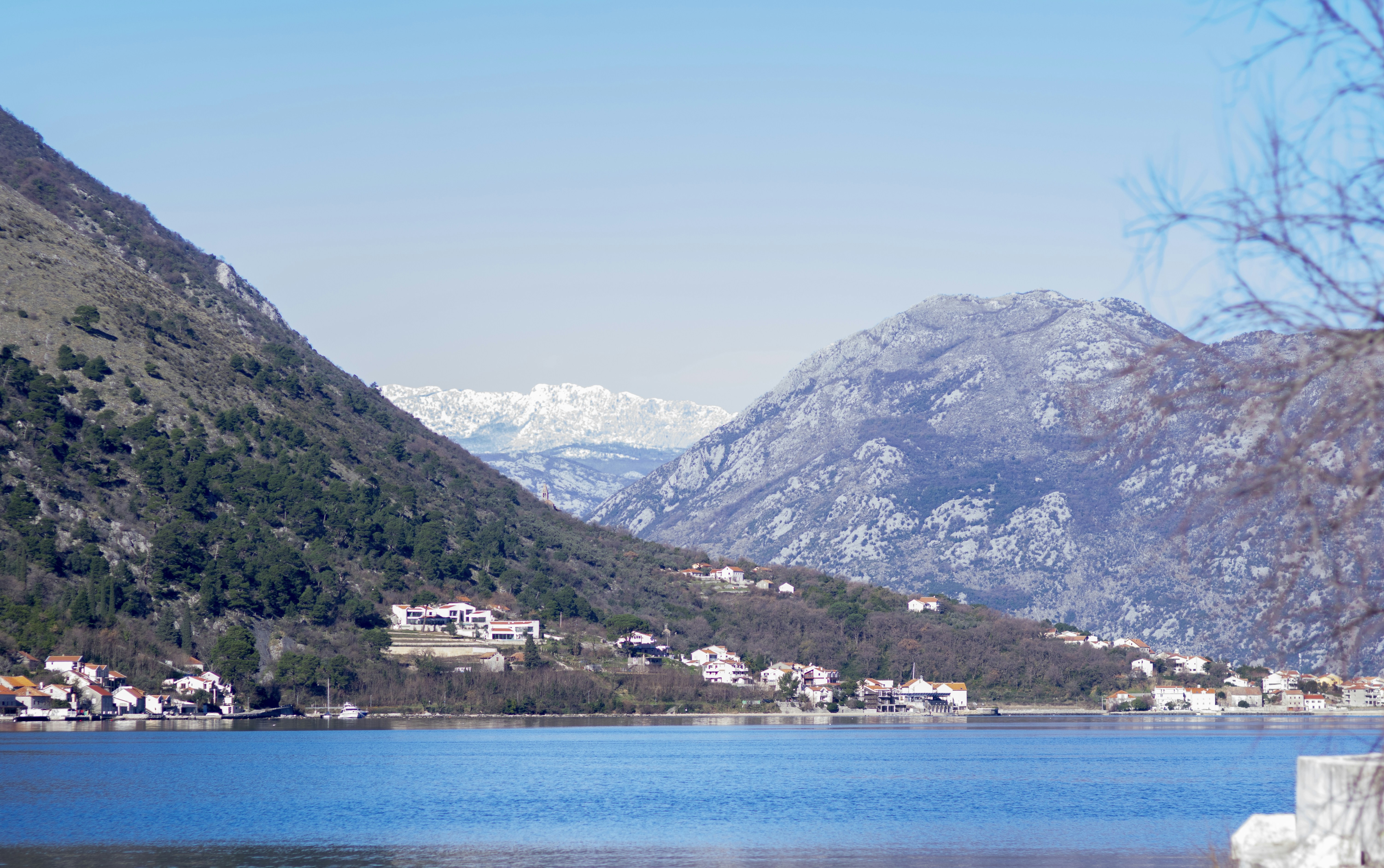 Recovering from Dementia: Is It Possible?