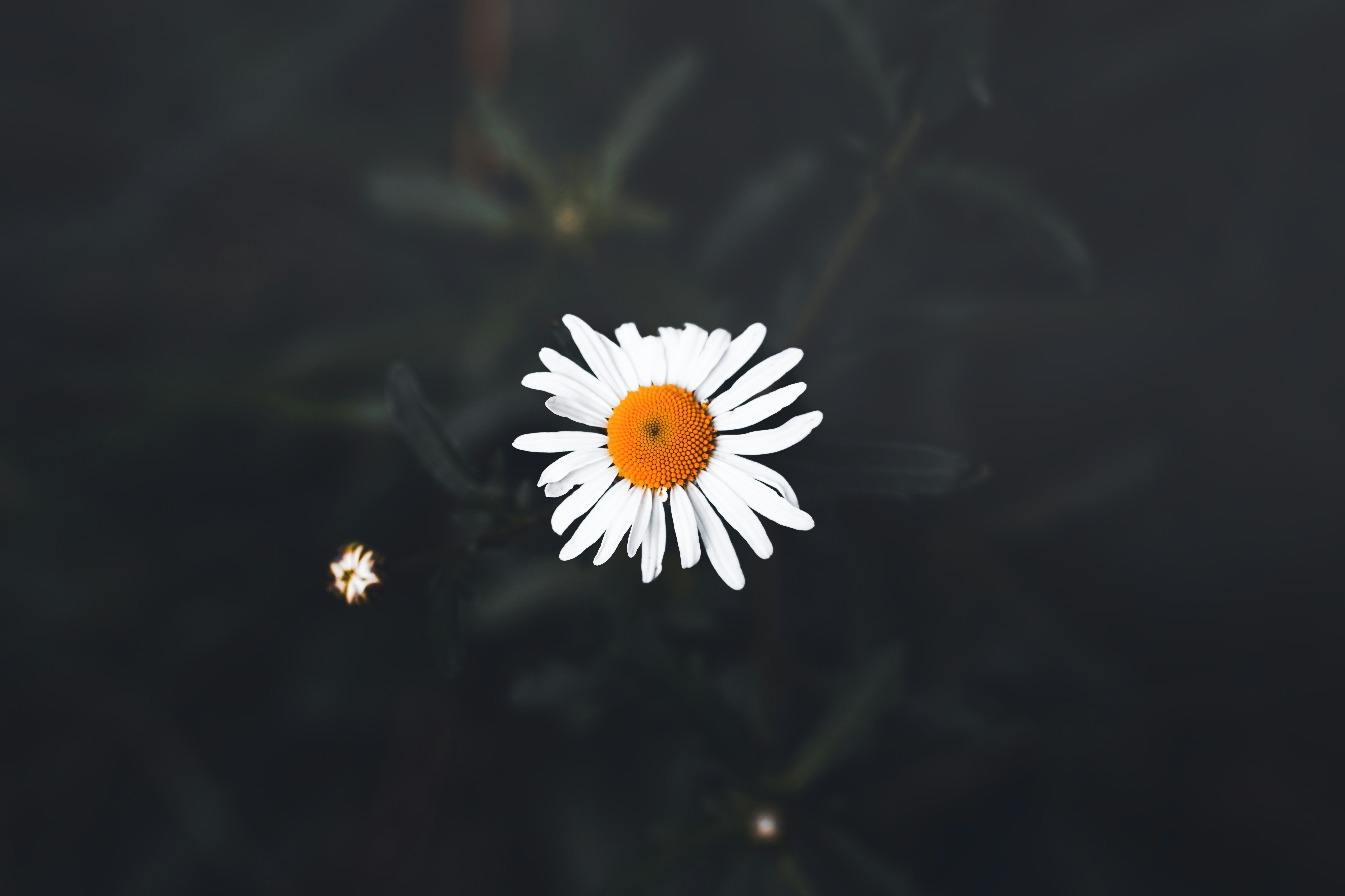 Photo by tlthiva
